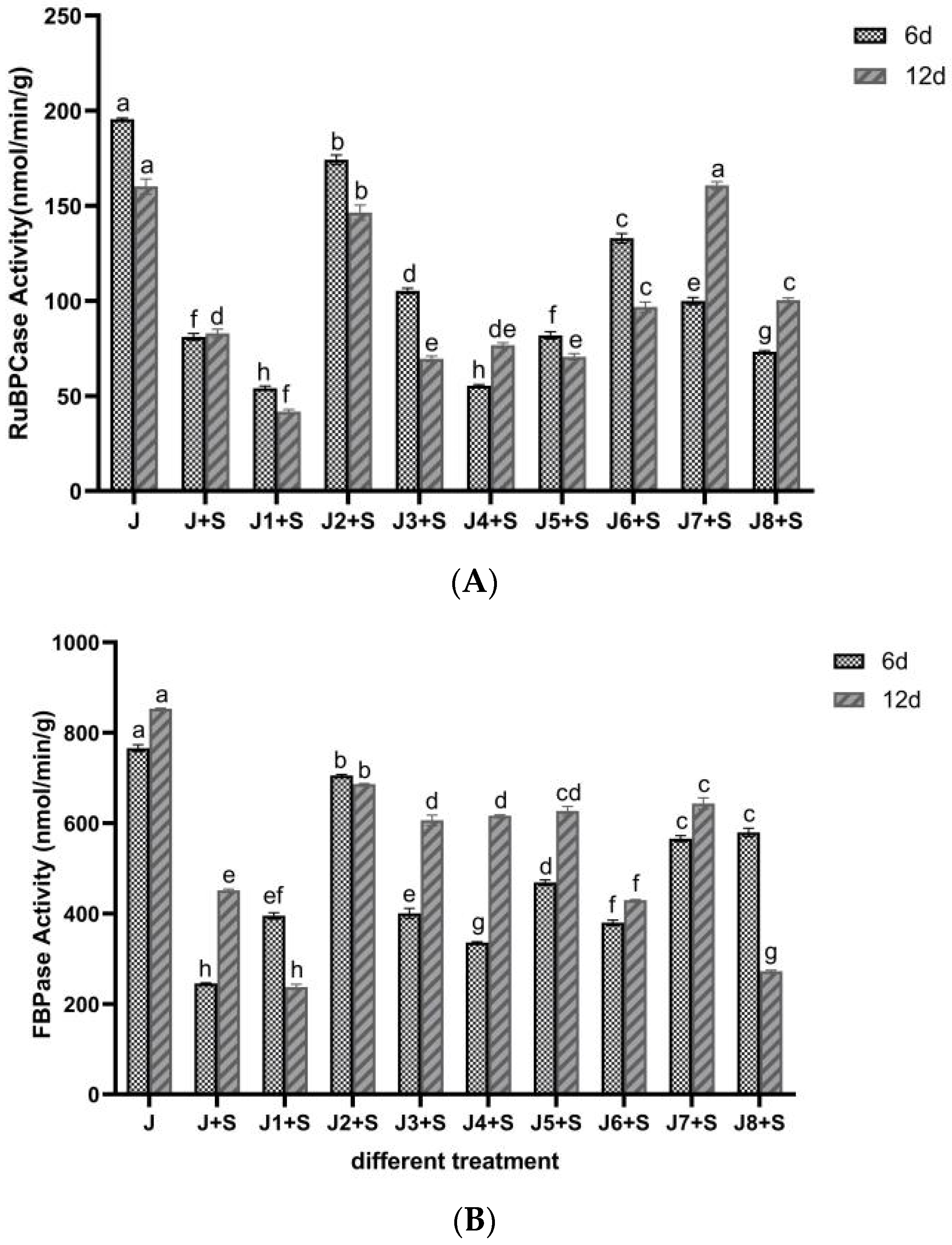 Agronomy 14 03034 g002