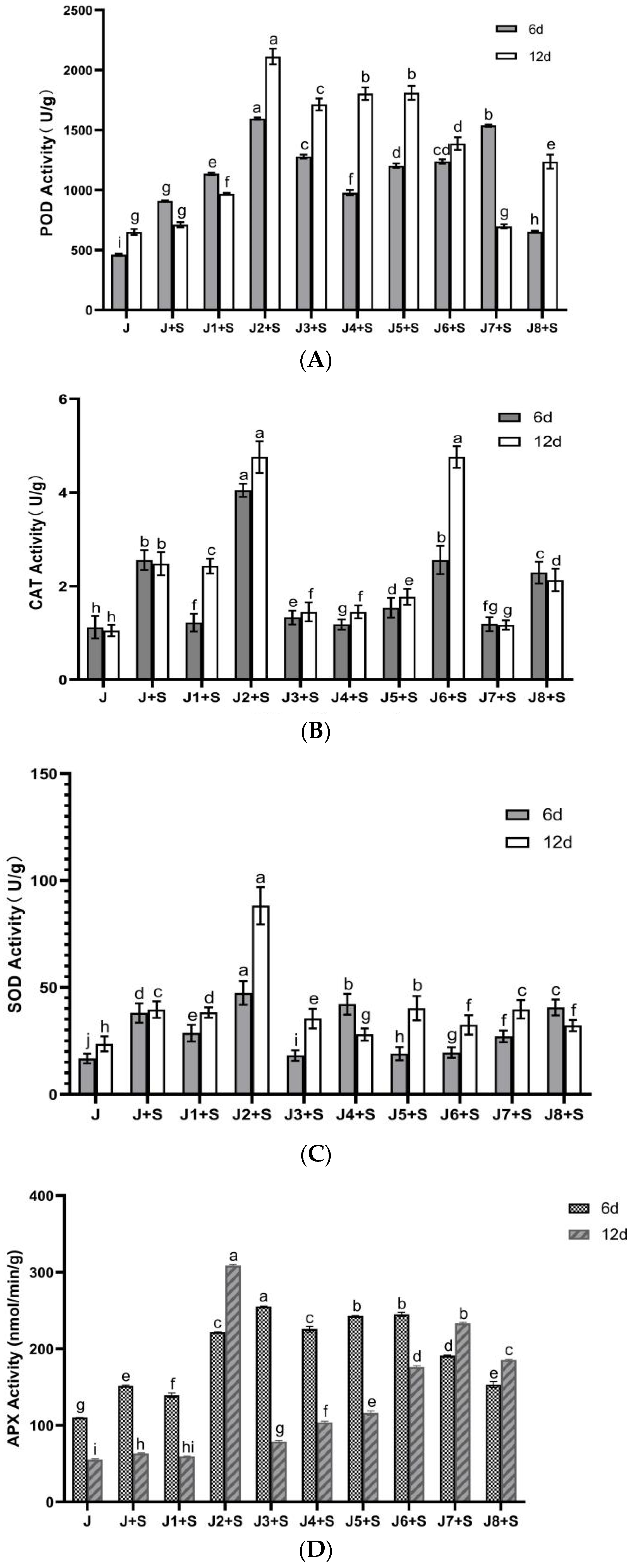 Agronomy 14 03034 g003a