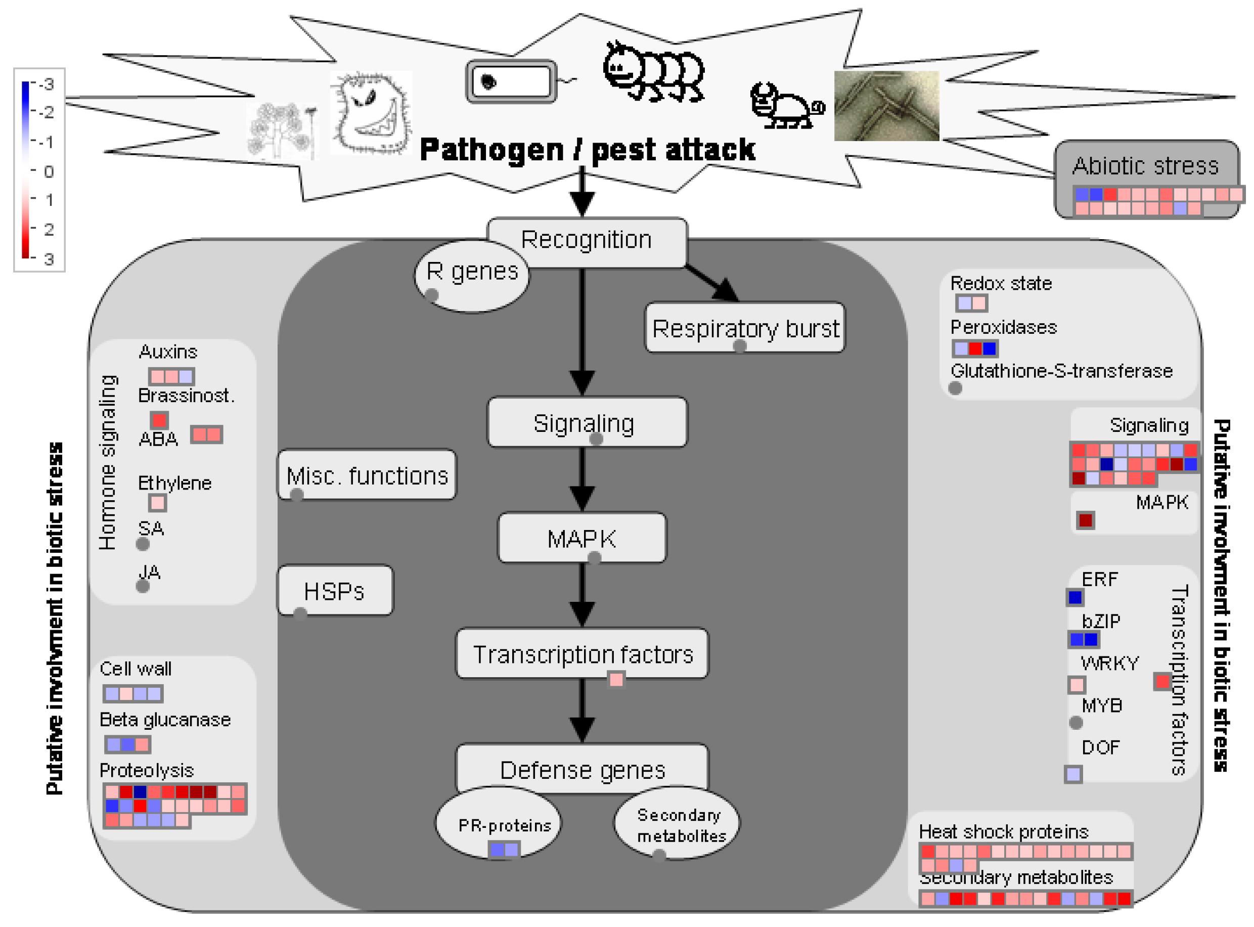 Agronomy 14 03035 g006
