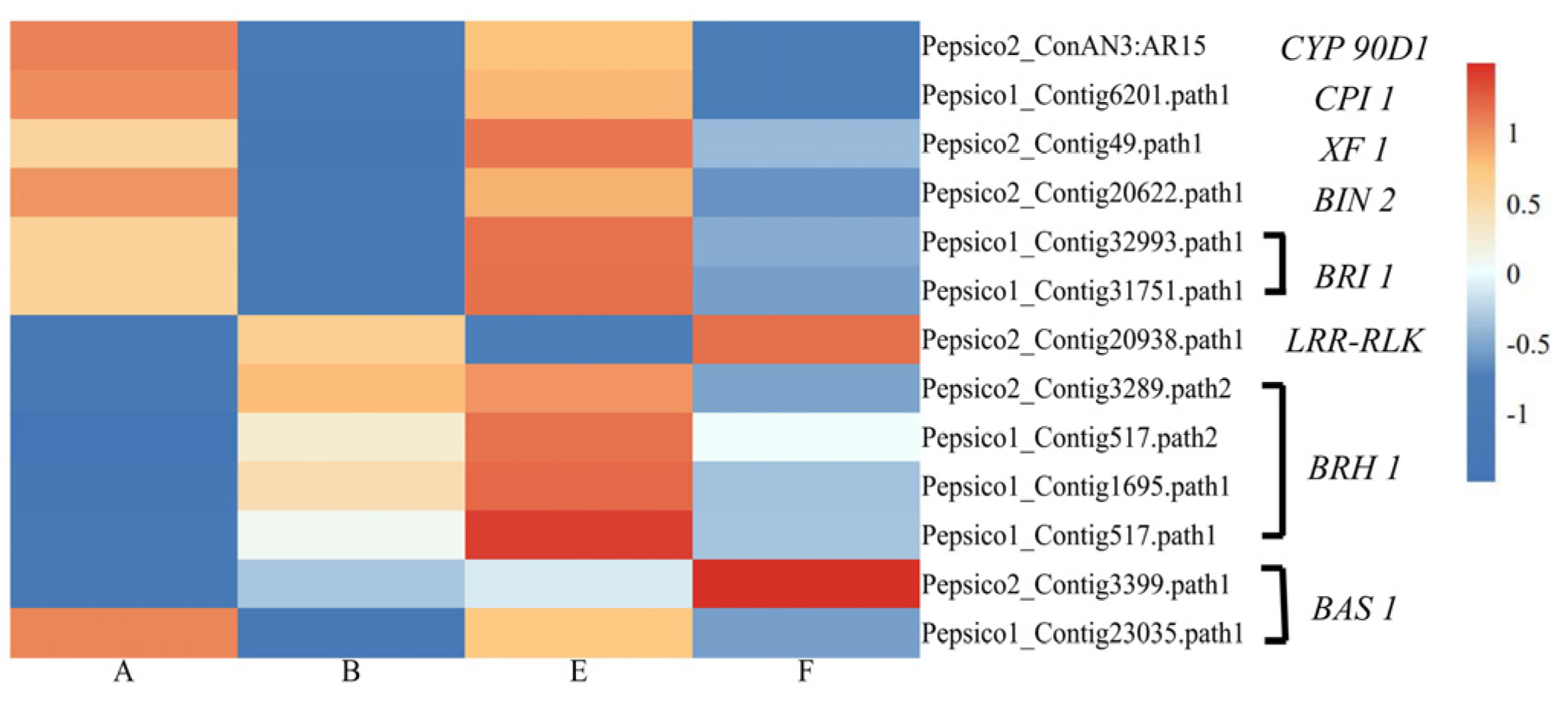 Agronomy 14 03035 g008