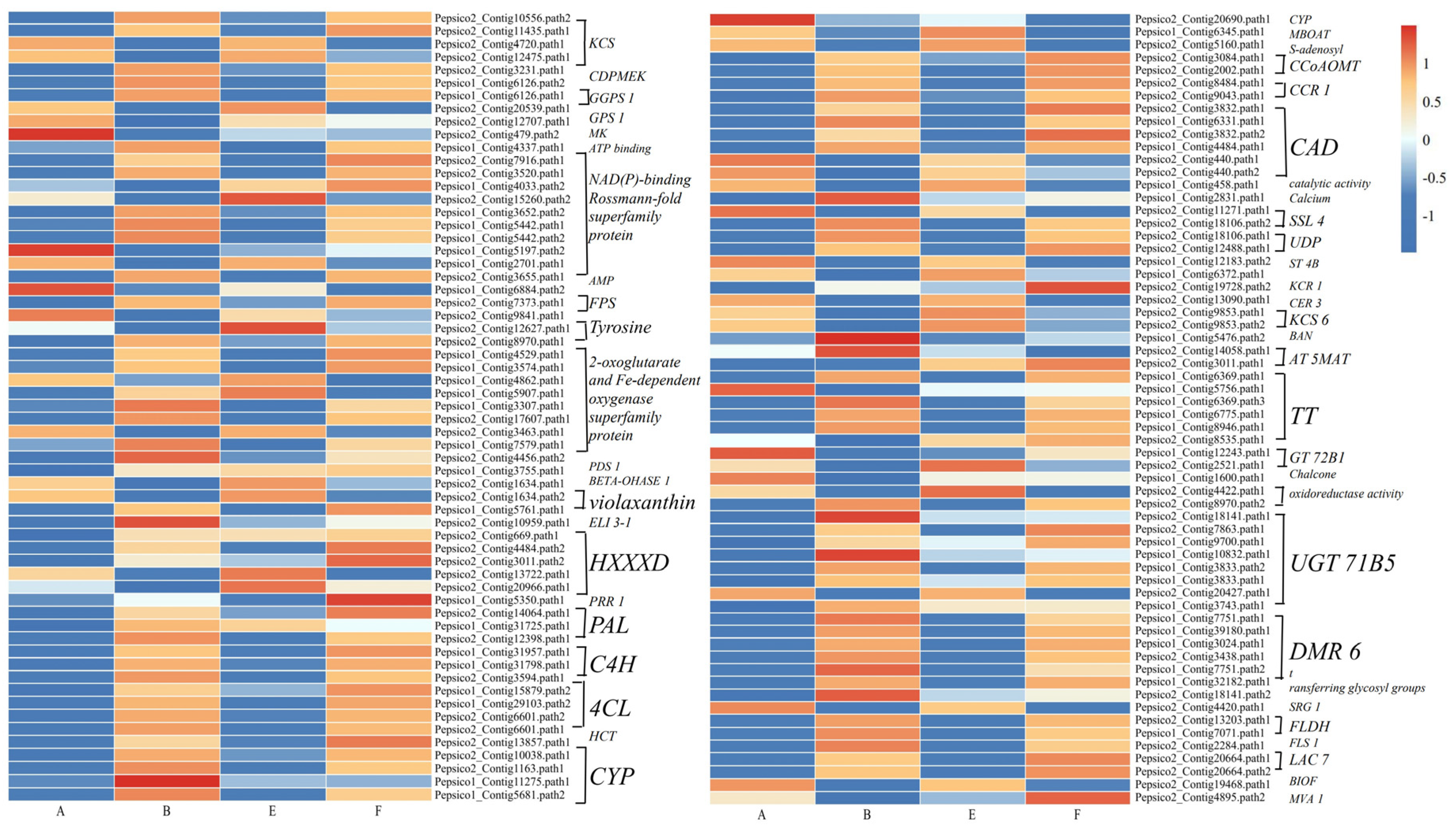 Agronomy 14 03035 g009