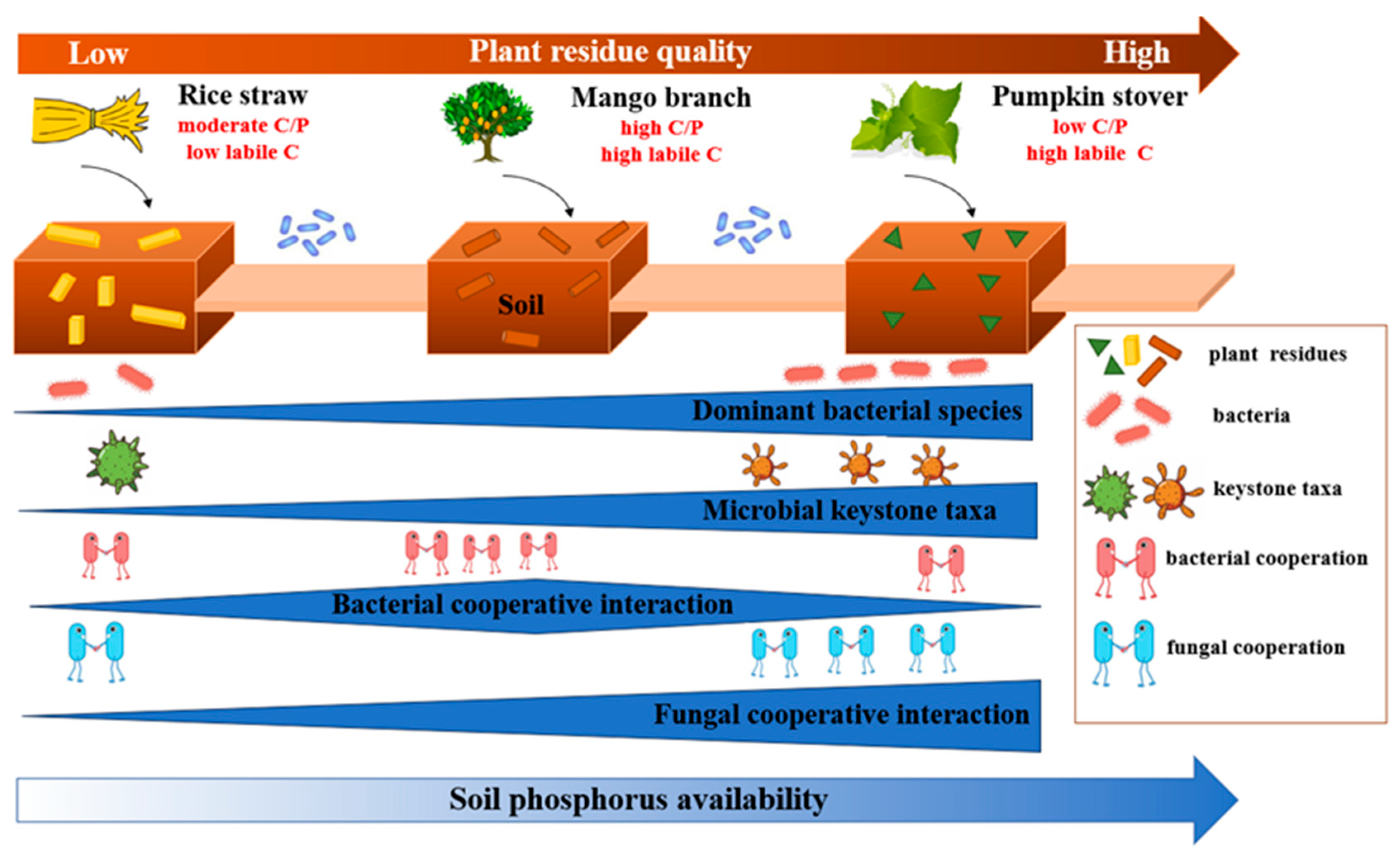 Agronomy 14 03036 g008 Agronomy 14 03036 g008