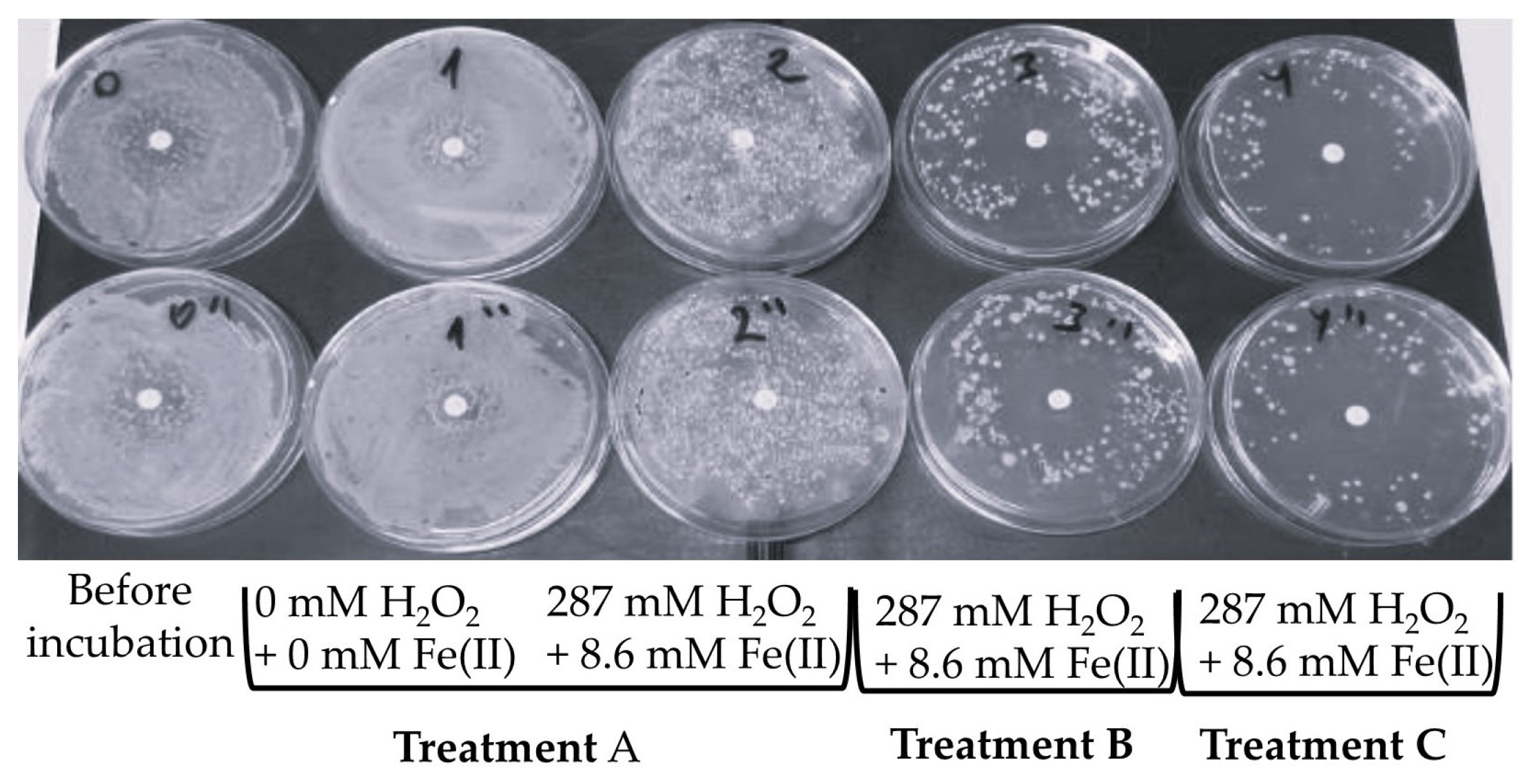 Agronomy 14 03037 g006 Agronomy 14 03037 g006