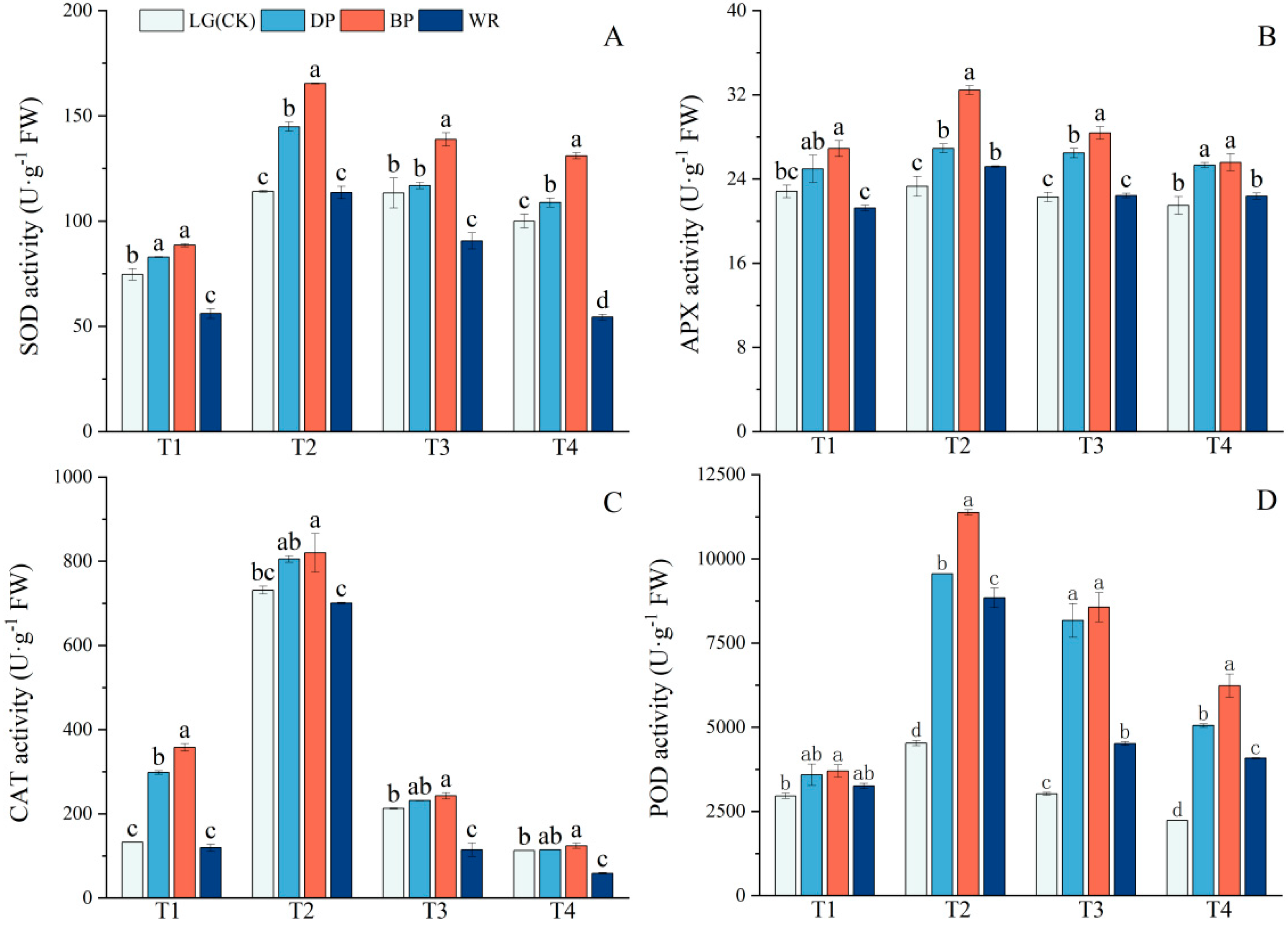 Agronomy 14 03038 g008
