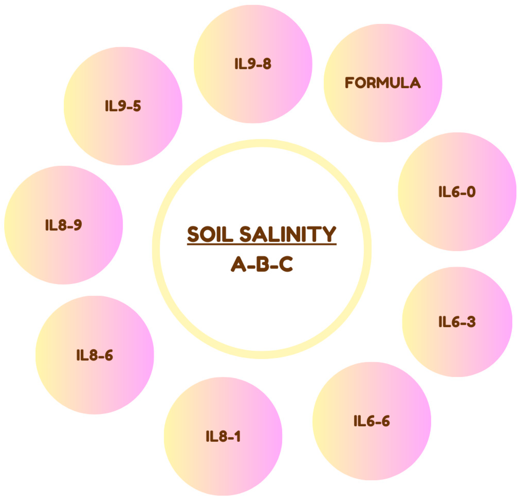 Agronomy 14 03042 g001