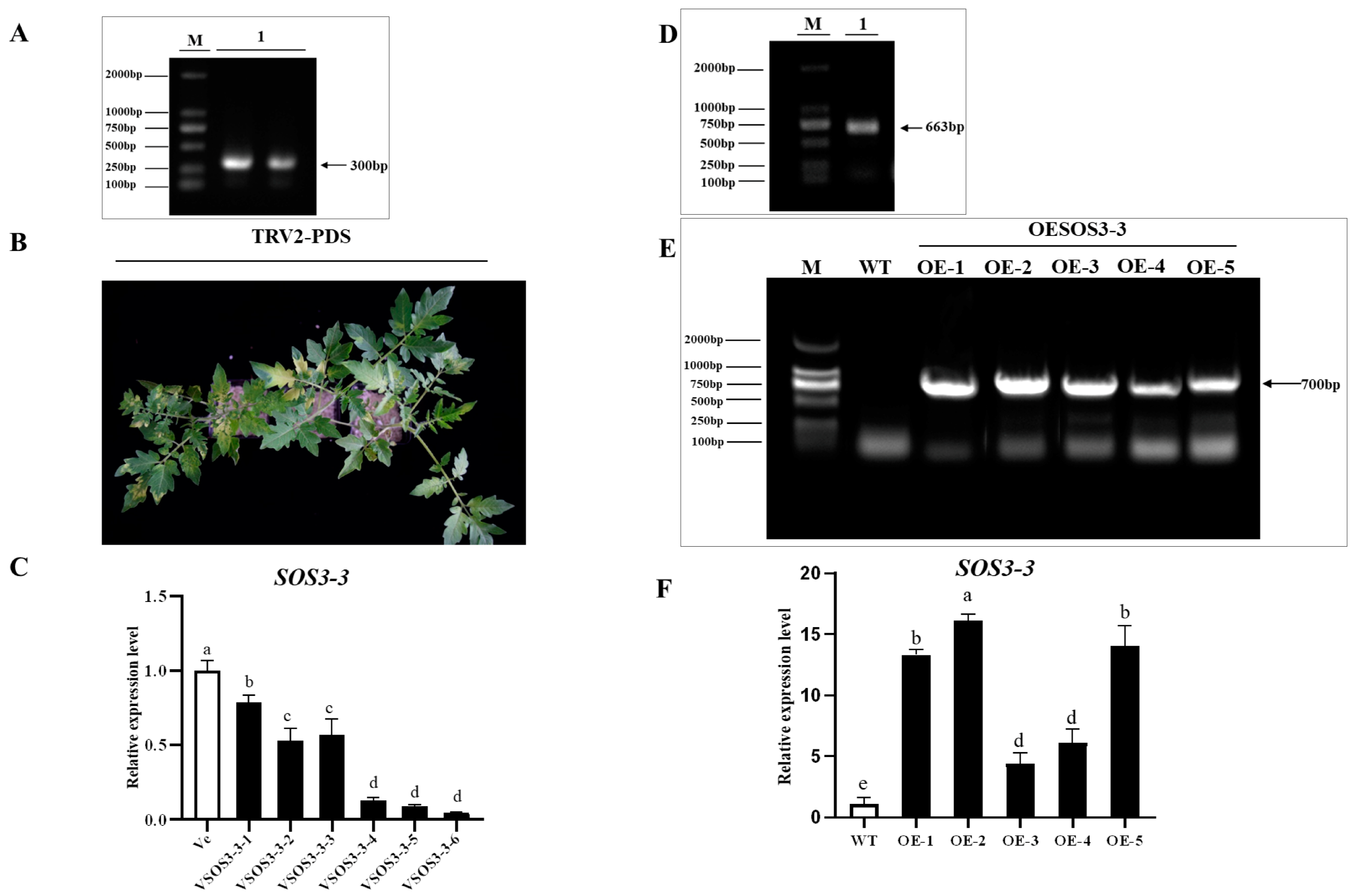Agronomy 14 03044 g002