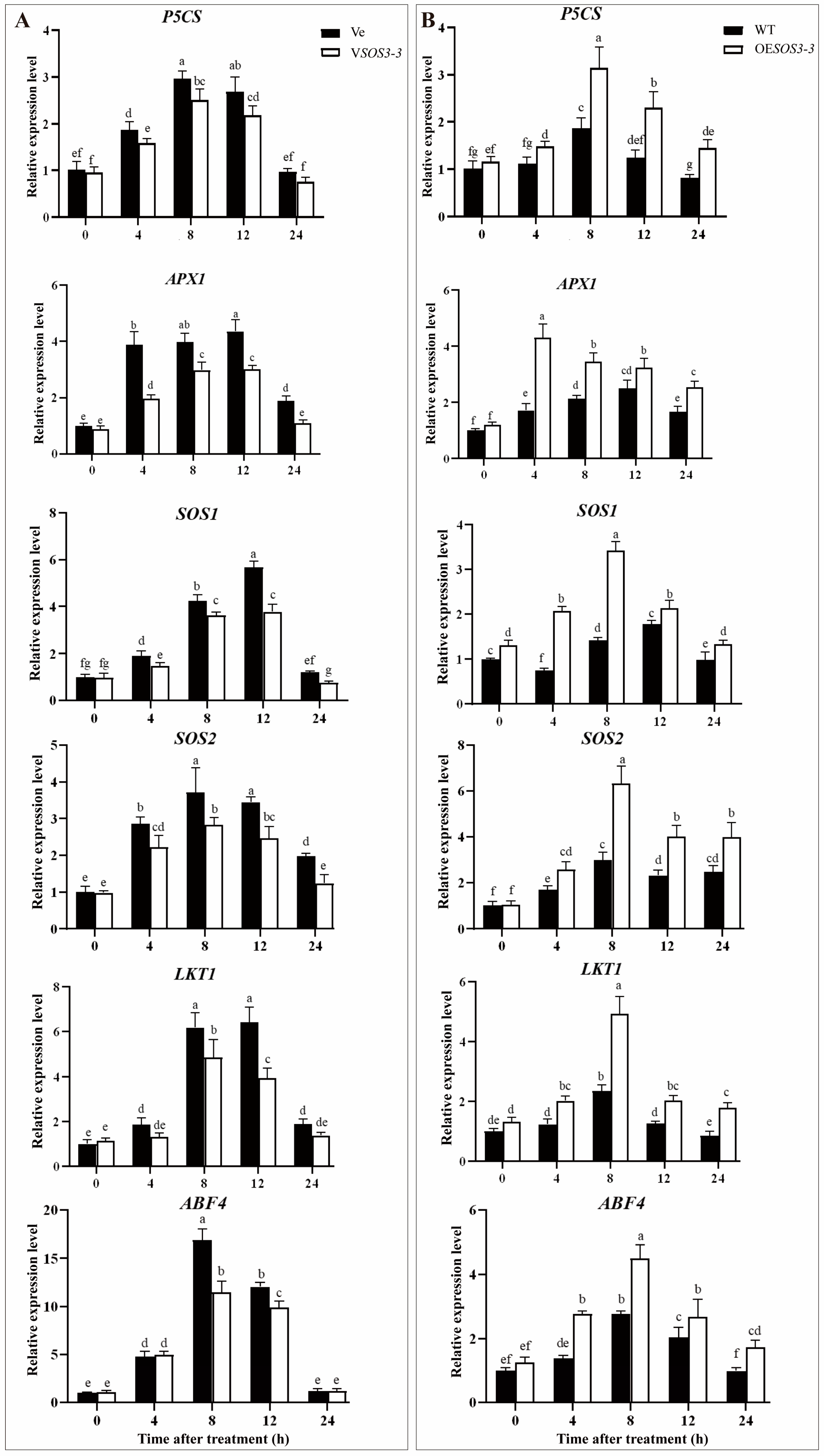 Agronomy 14 03044 g006