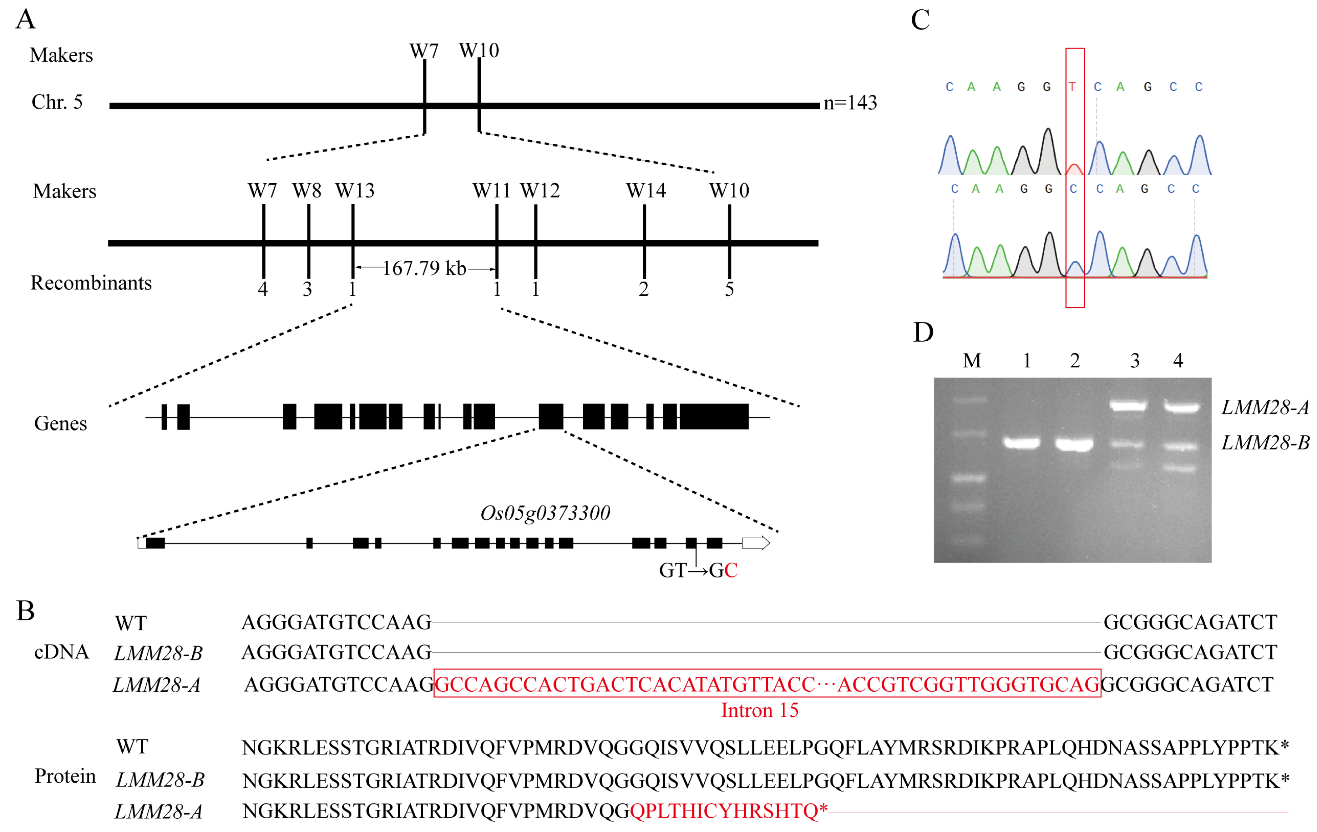 Agronomy 14 03048 g005