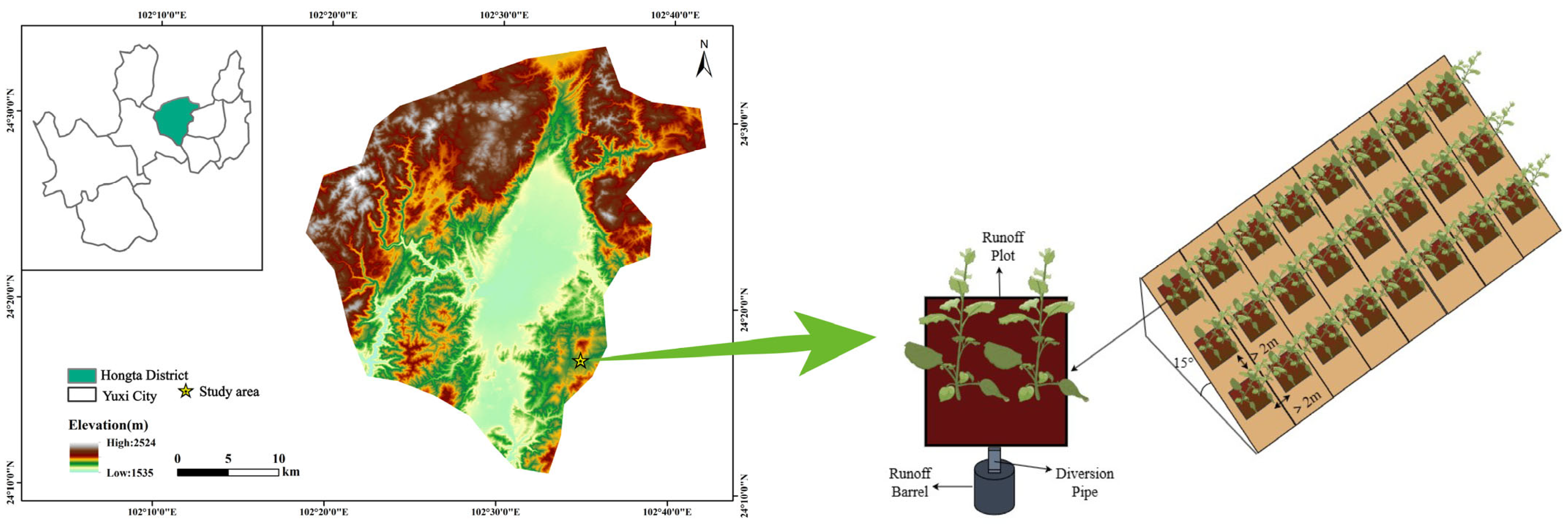 Agronomy 14 03053 g001
