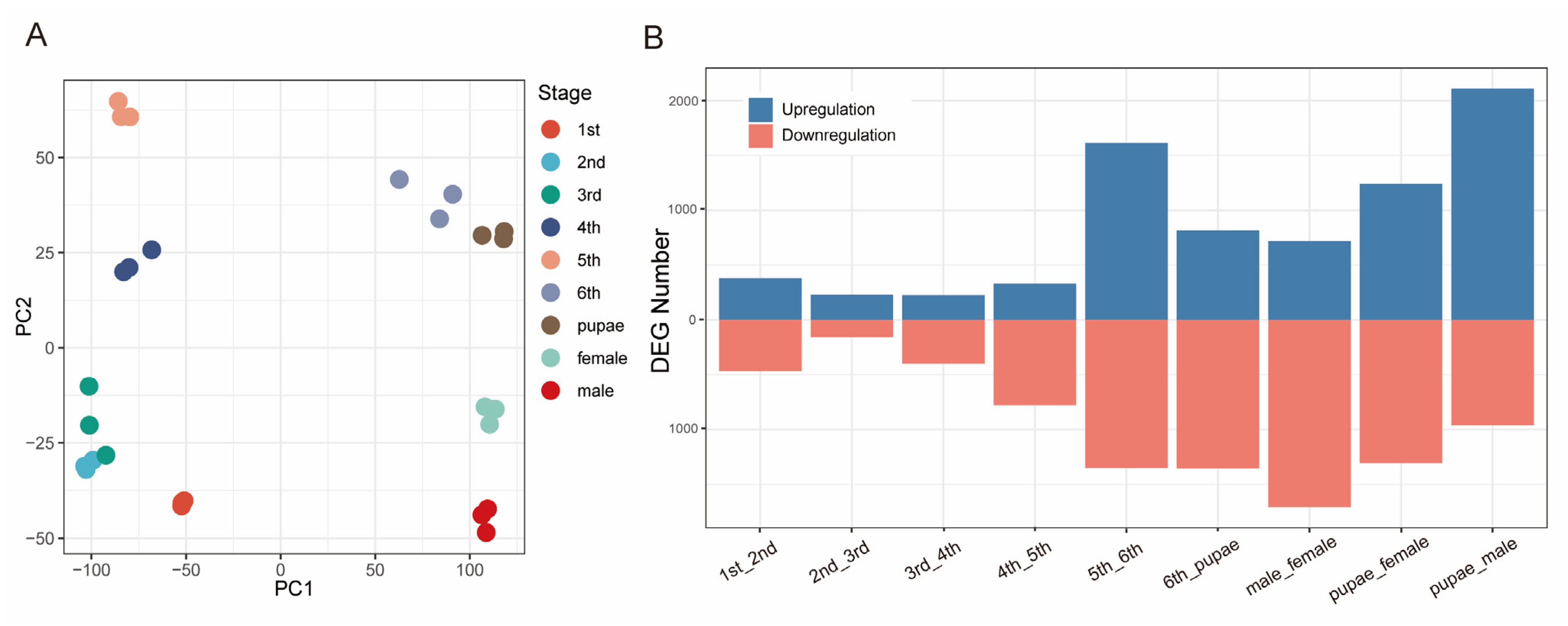 Agronomy 14 03054 g001