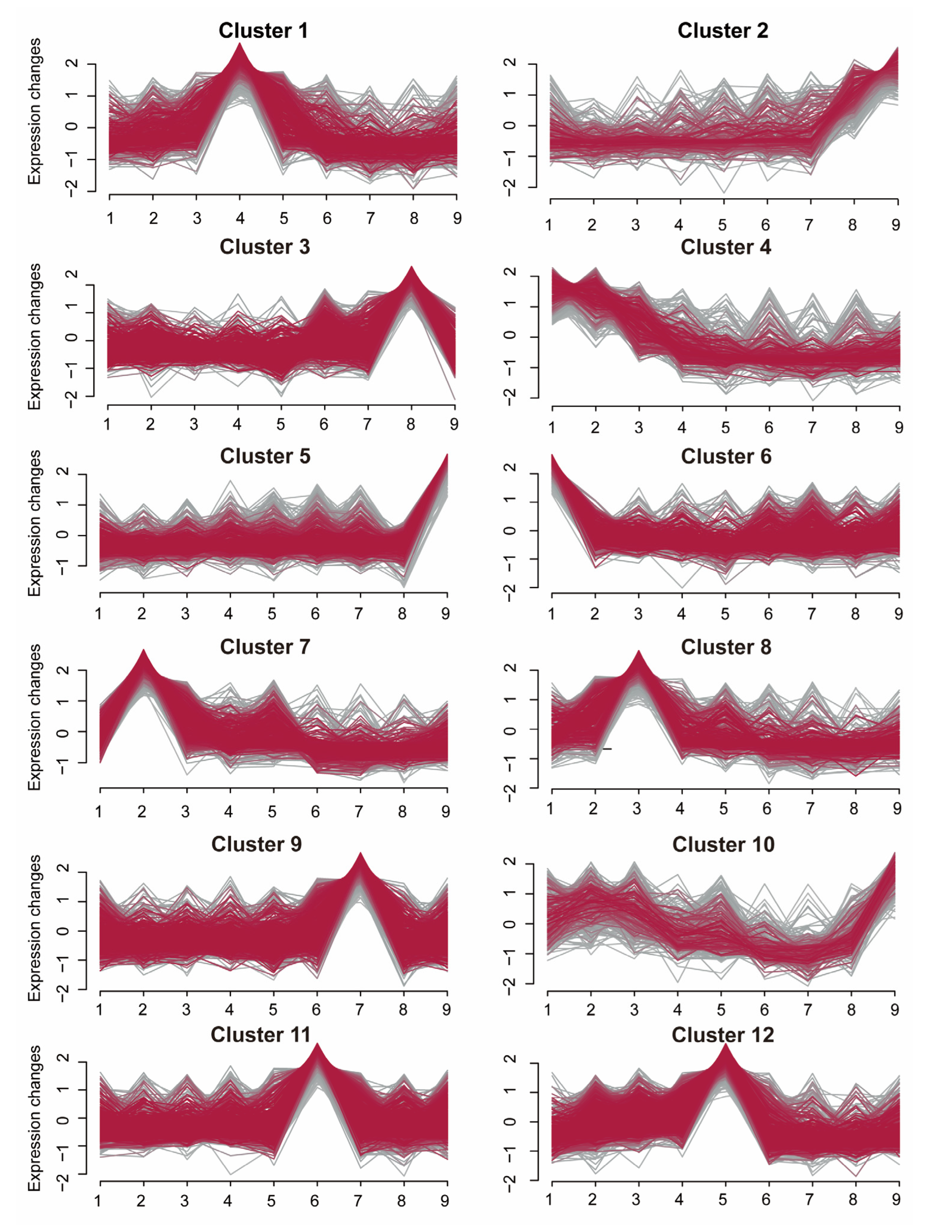 Agronomy 14 03054 g002