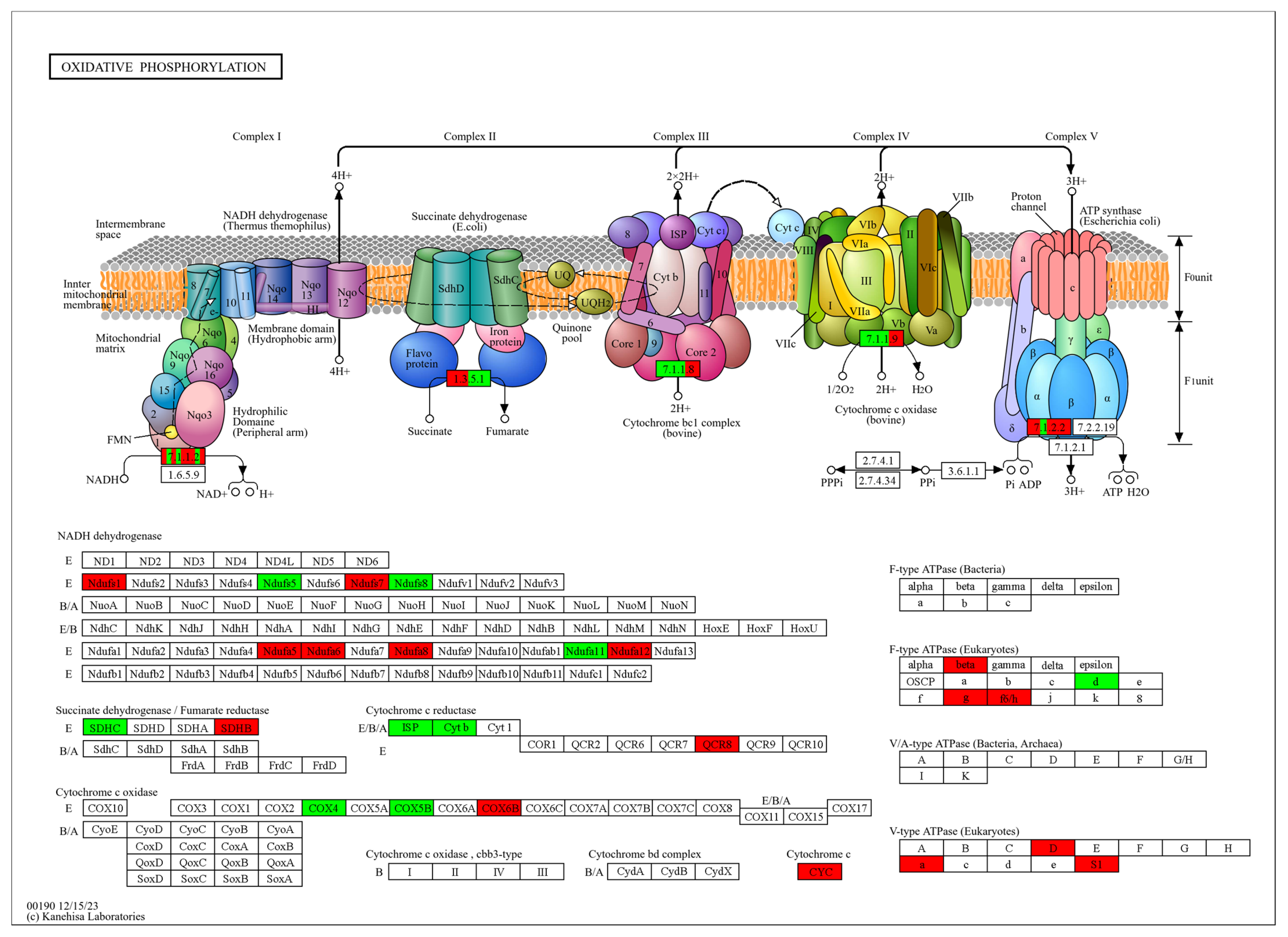 Agronomy 14 03054 g007