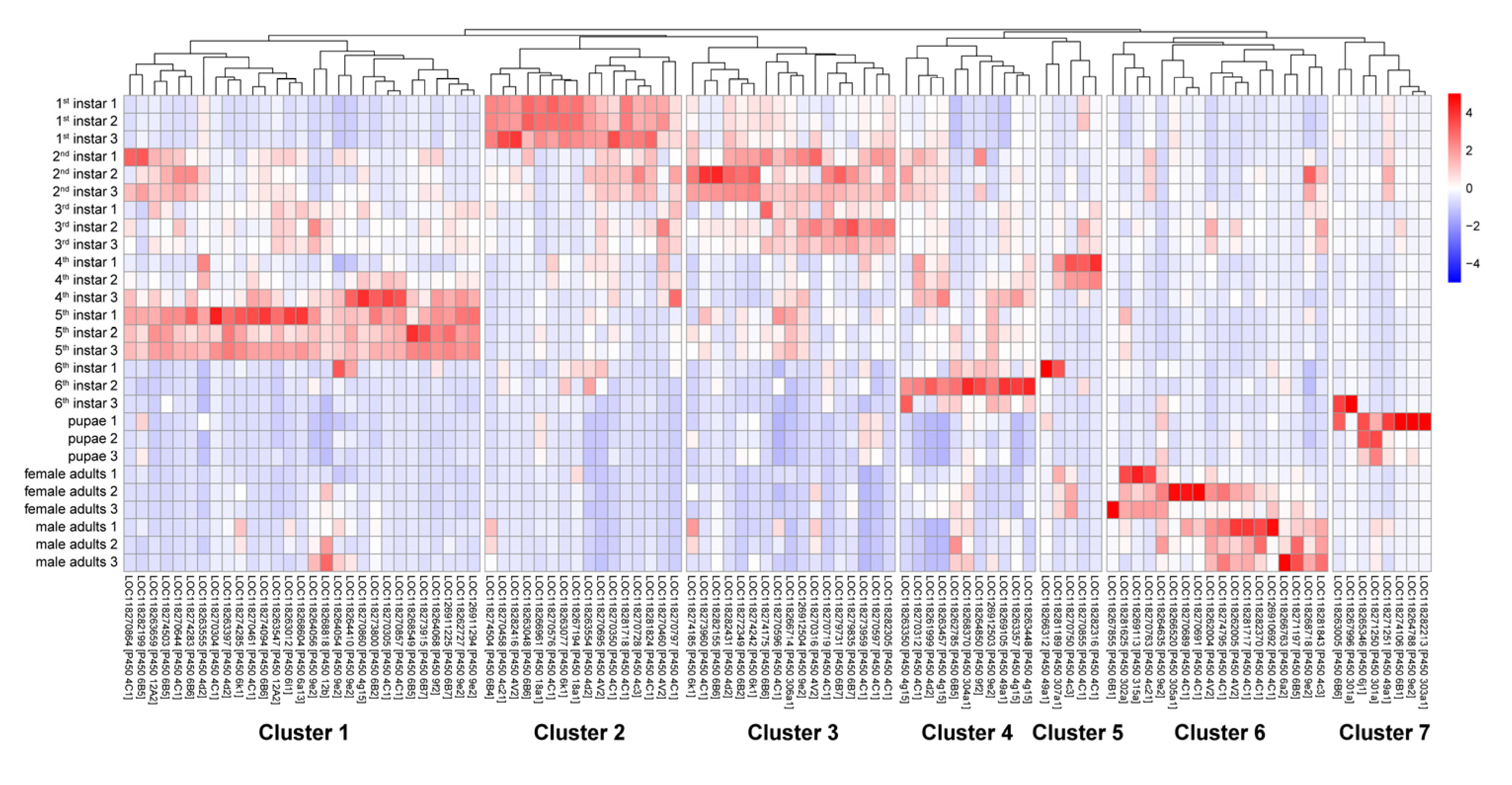 Agronomy 14 03054 g008