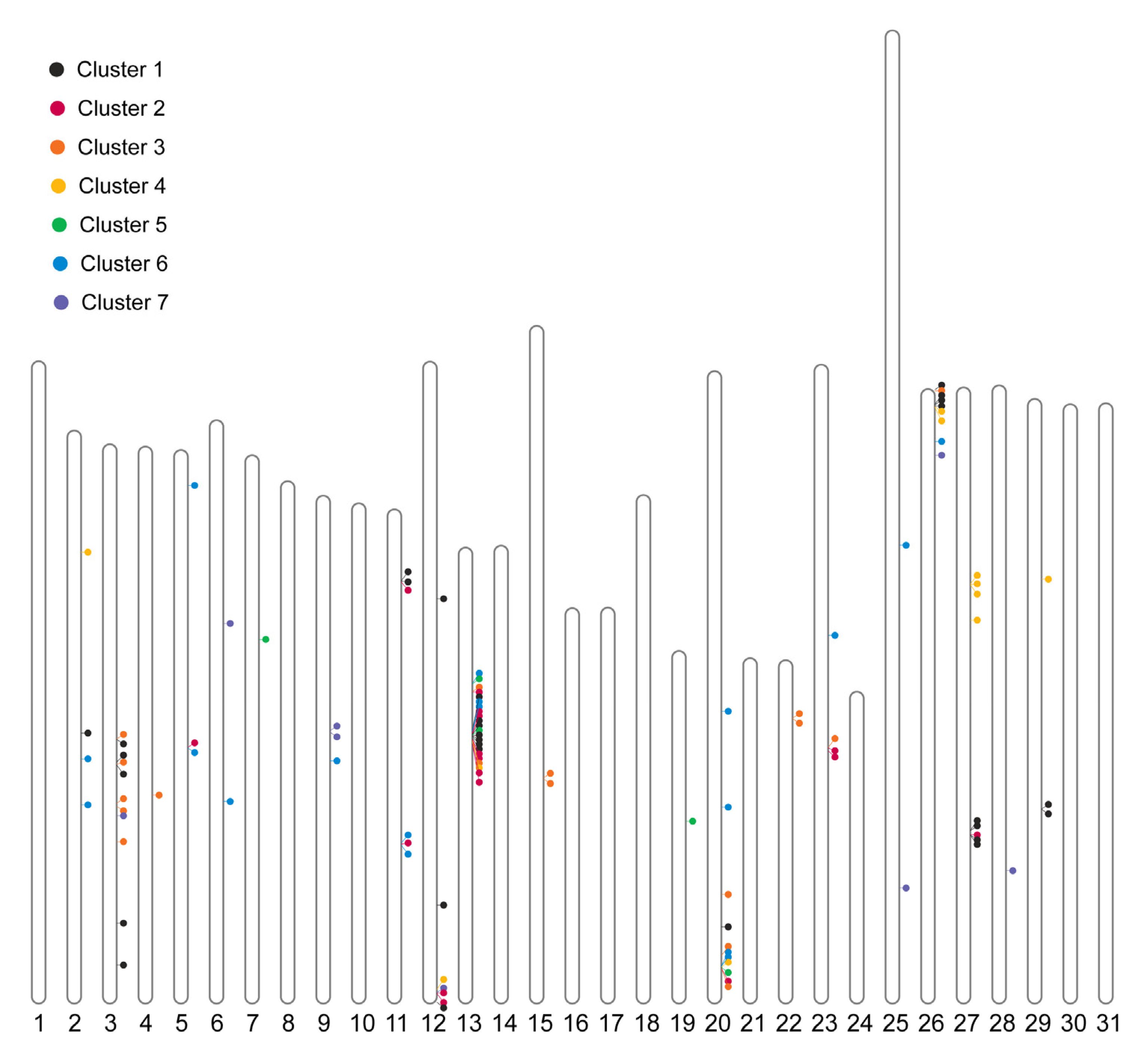 Agronomy 14 03054 g009