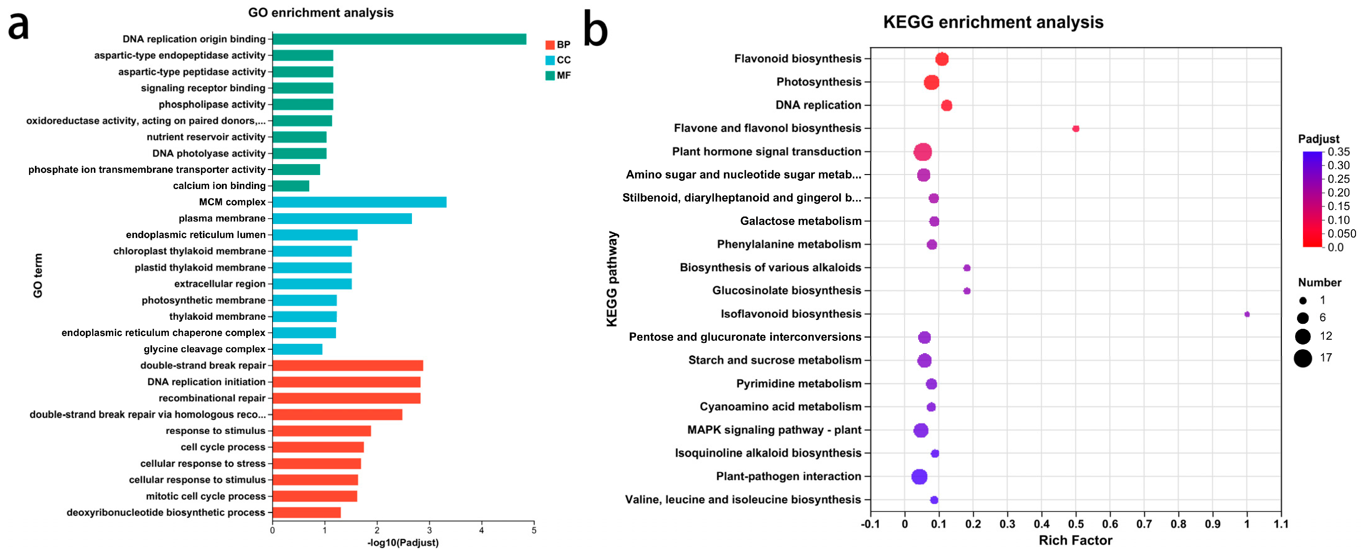 Agronomy 14 03063 g003