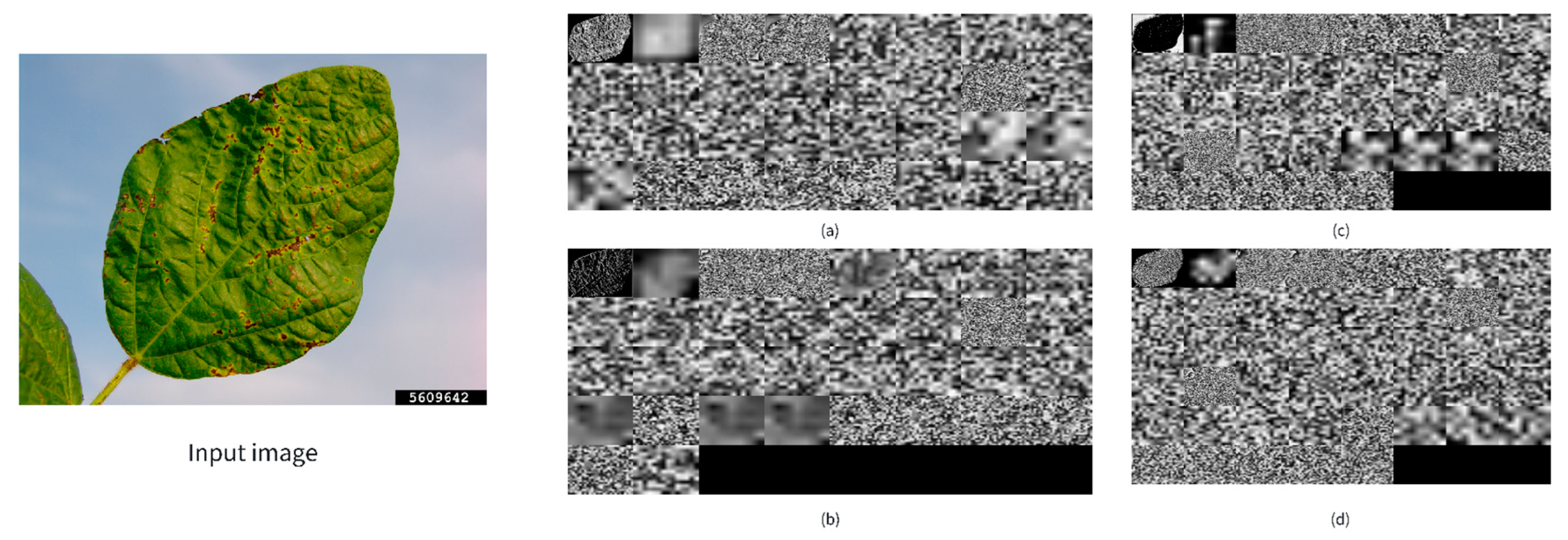 Agronomy 14 03064 g008