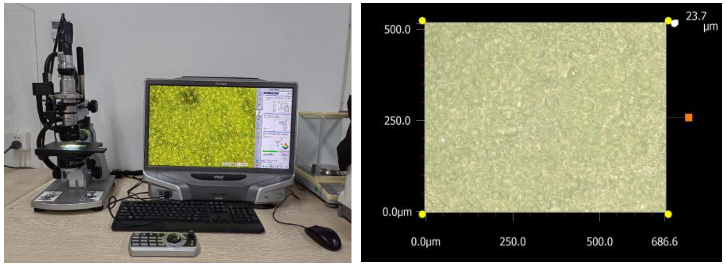 Agronomy 14 03065 g002