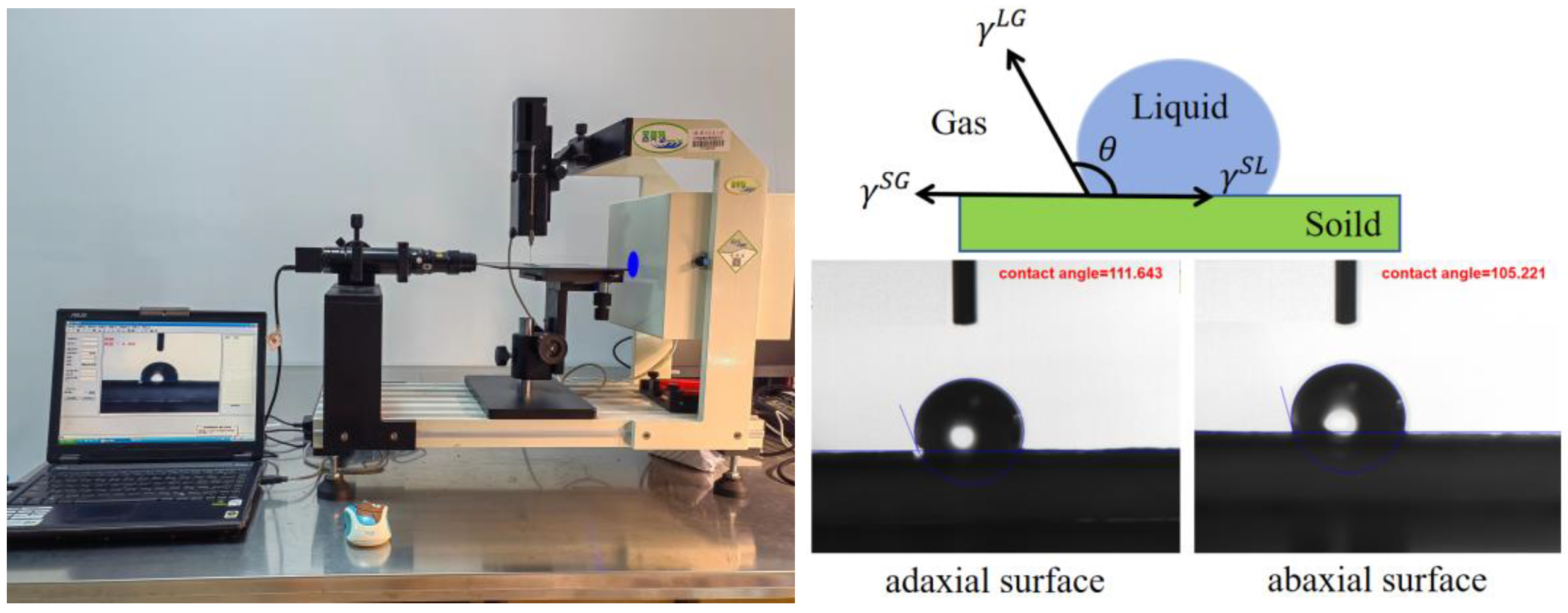 Agronomy 14 03065 g003