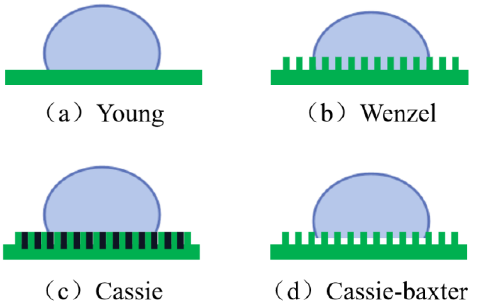 Agronomy 14 03065 g004