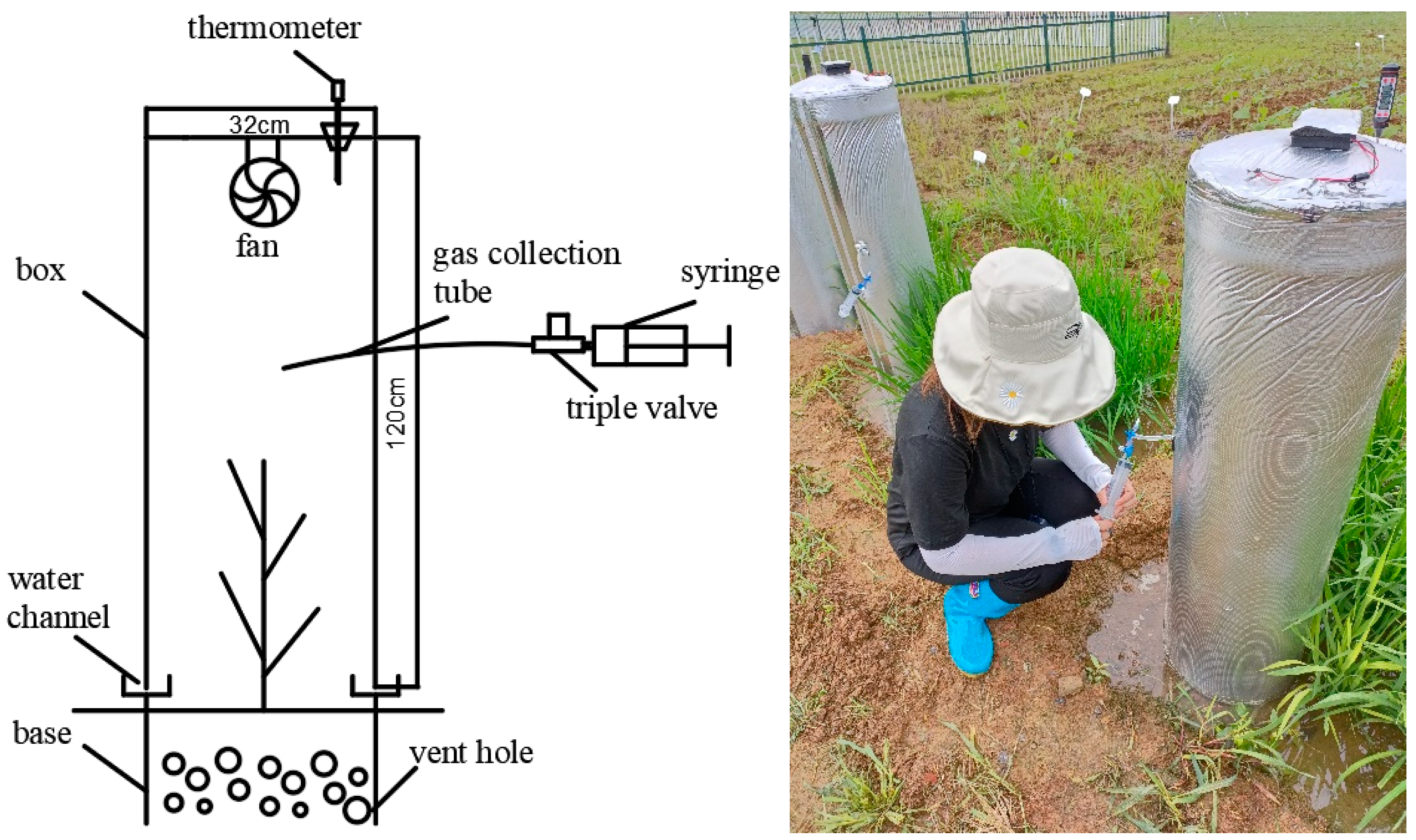 Agronomy 14 03067 g001