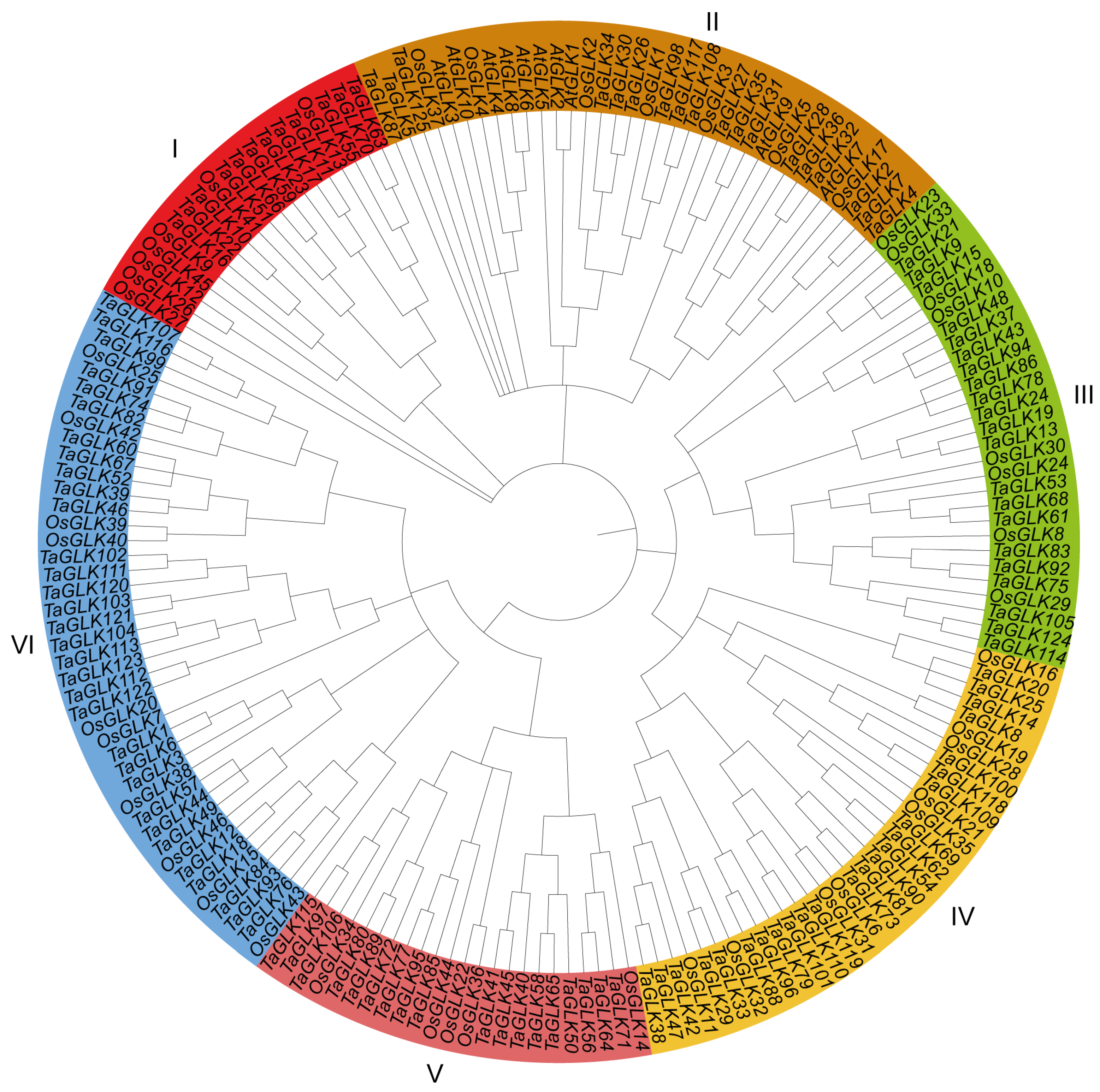 Agronomy 14 03070 g001