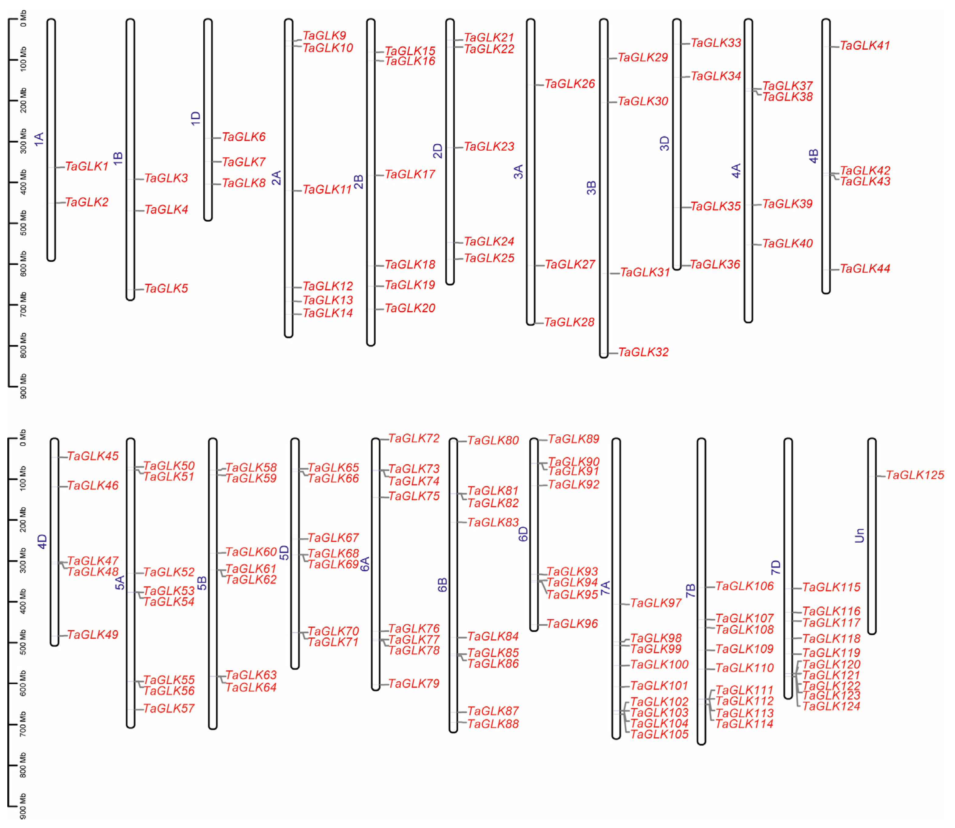 Agronomy 14 03070 g002