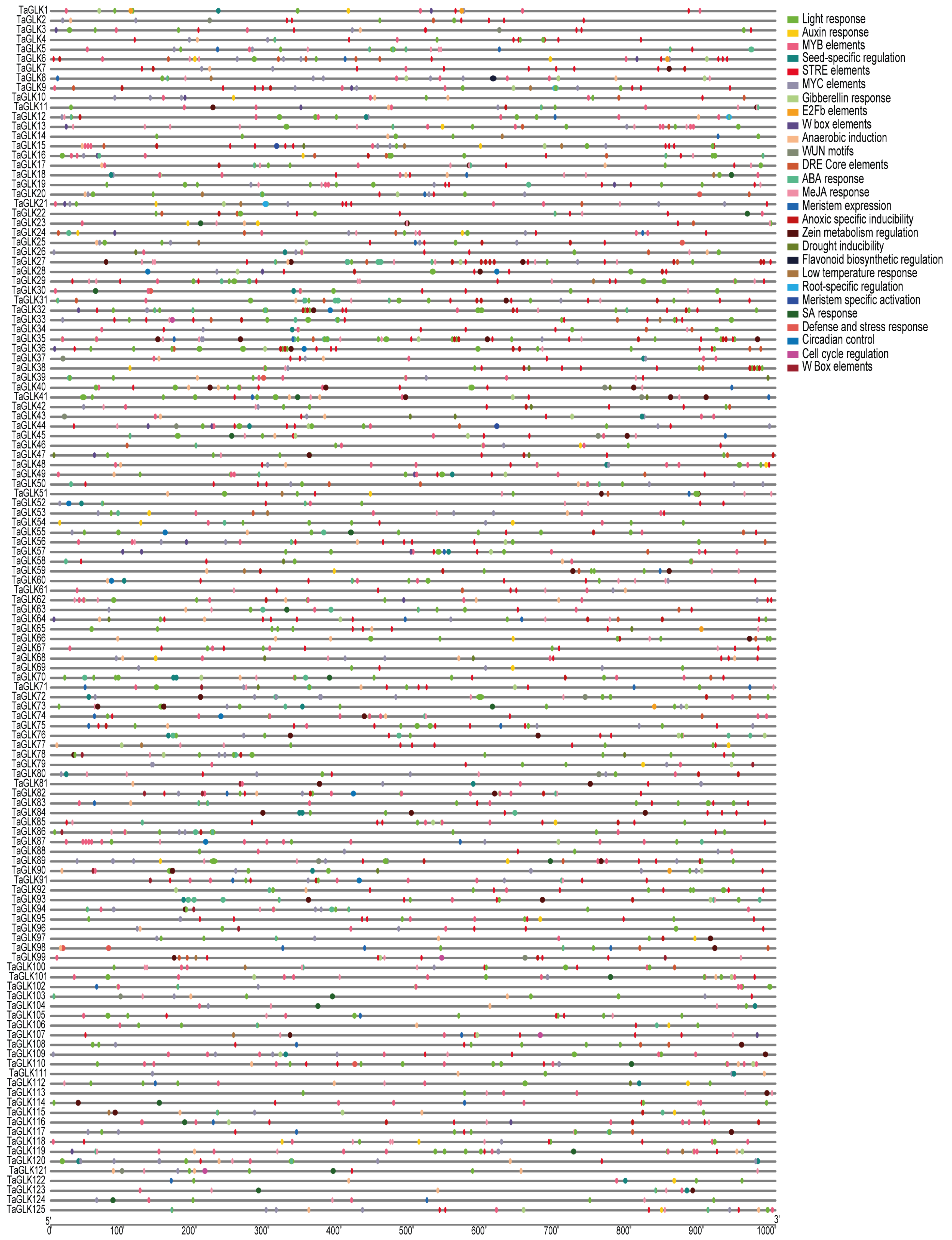 Agronomy 14 03070 g004