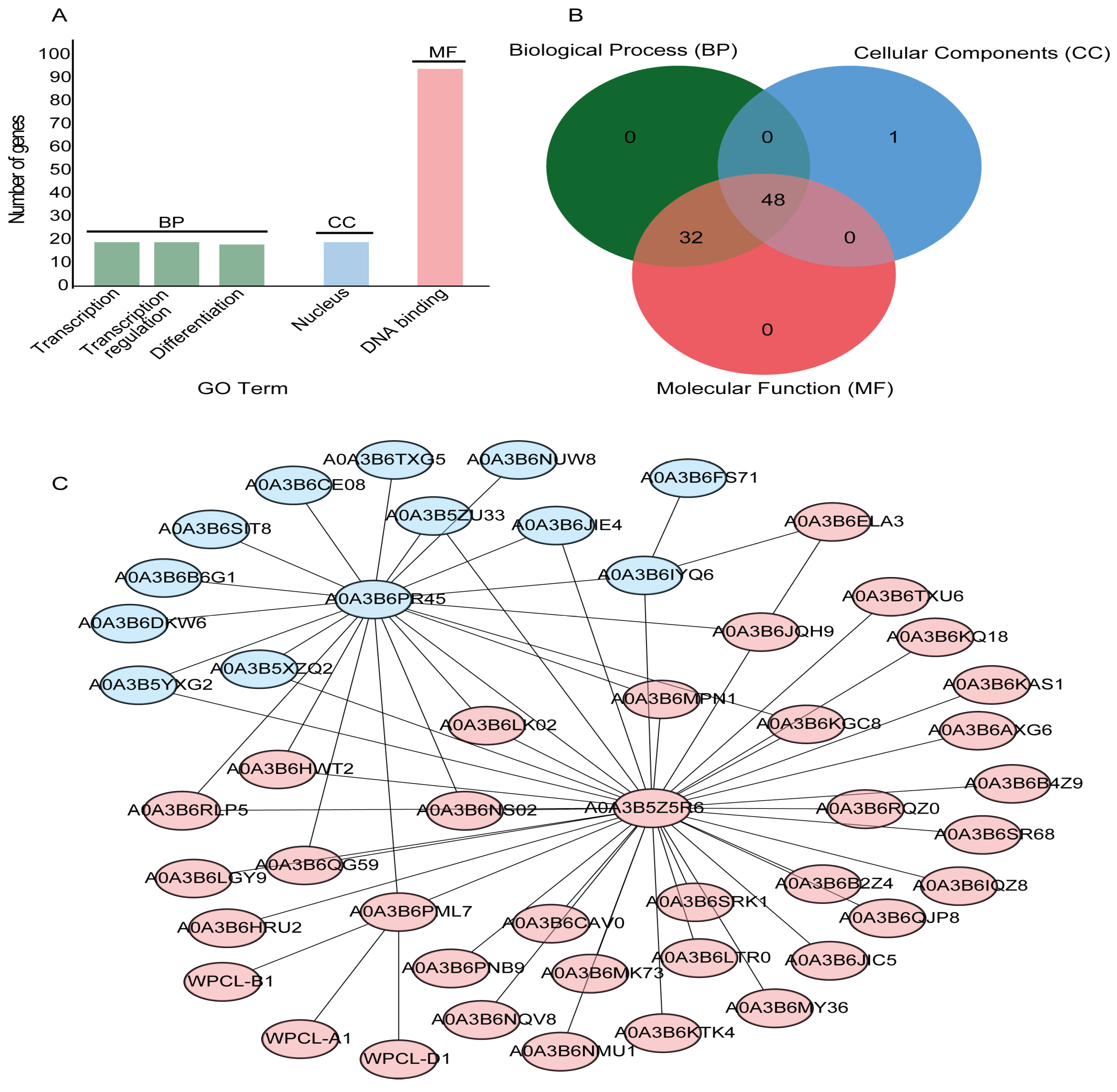 Agronomy 14 03070 g005