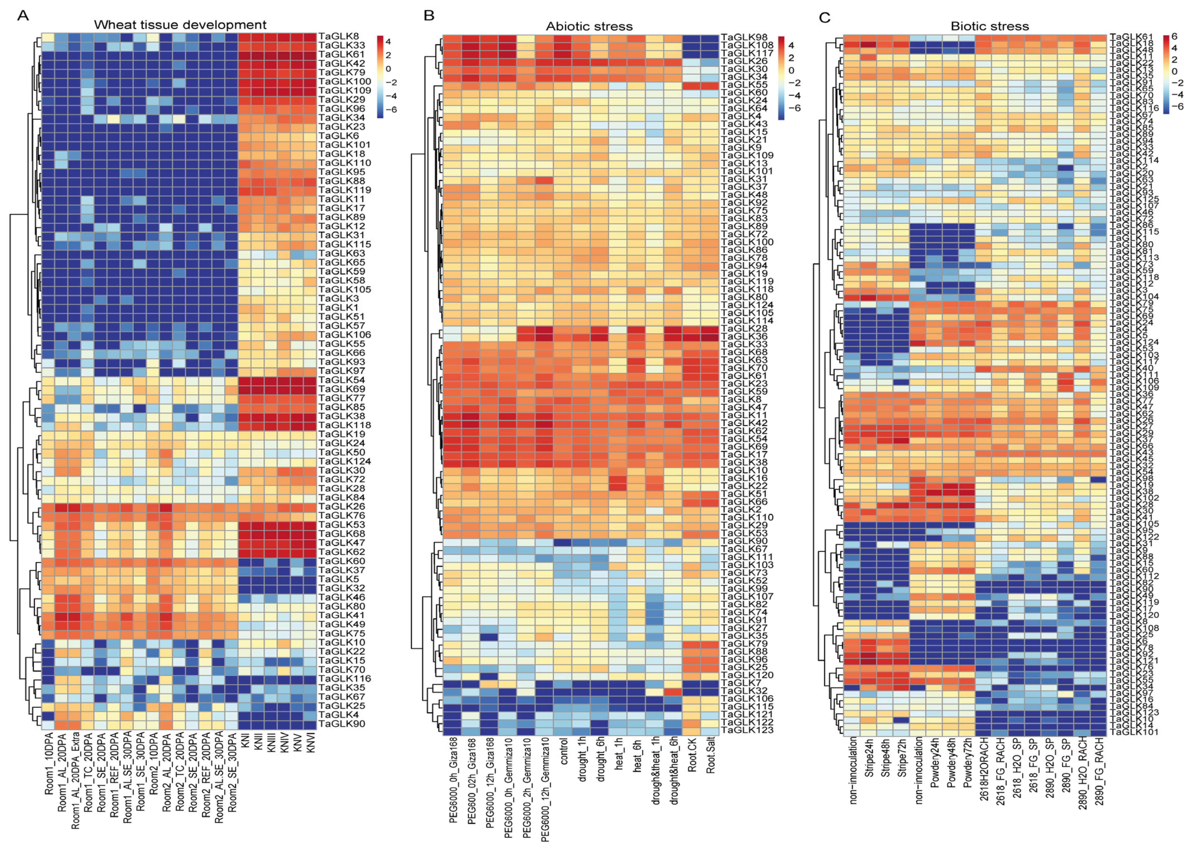 Agronomy 14 03070 g006