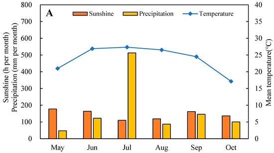 Effects of One-Time Reduced Basal Application of Controlled