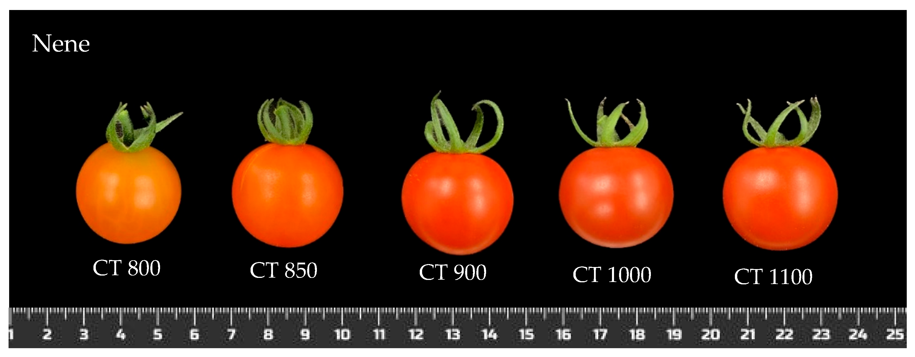 Agronomy 14 03074 g003