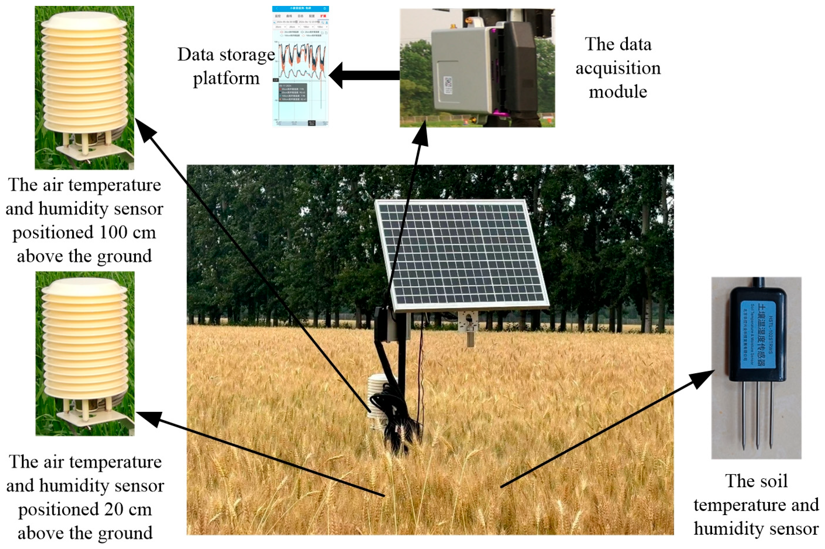 Agronomy 14 03075 g002