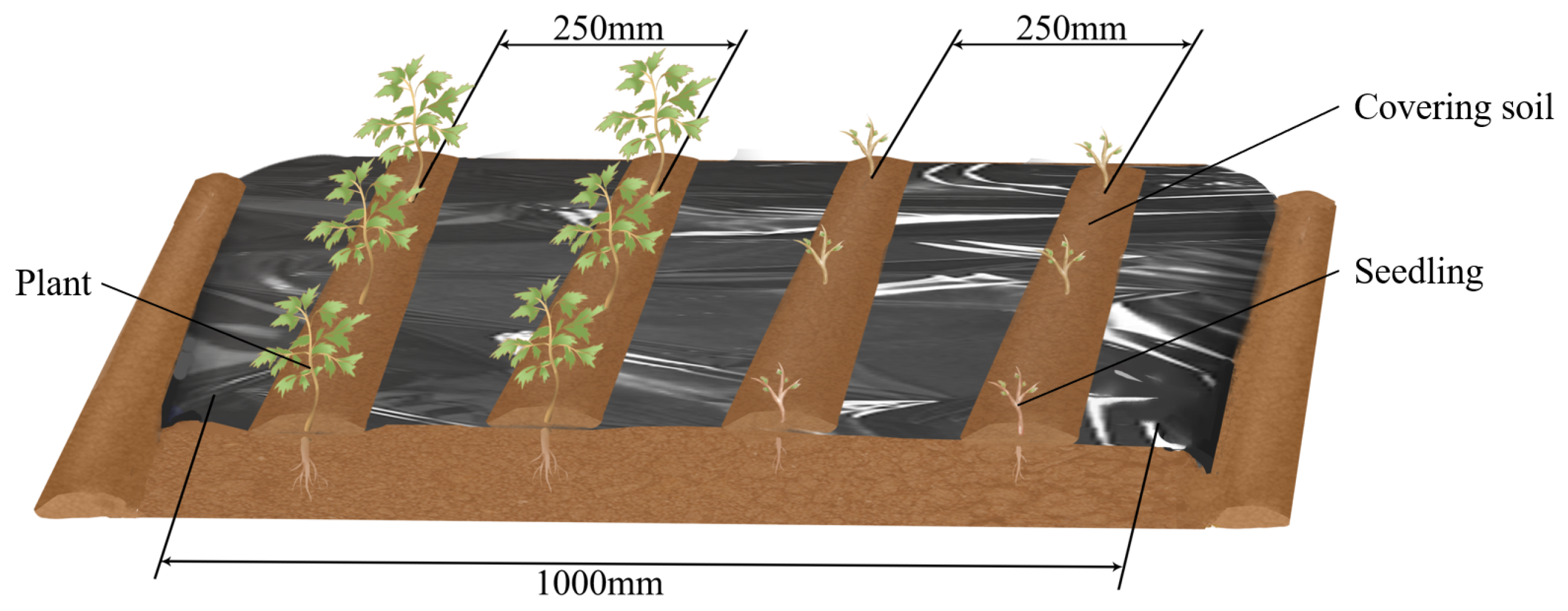 Agronomy 14 03076 g003