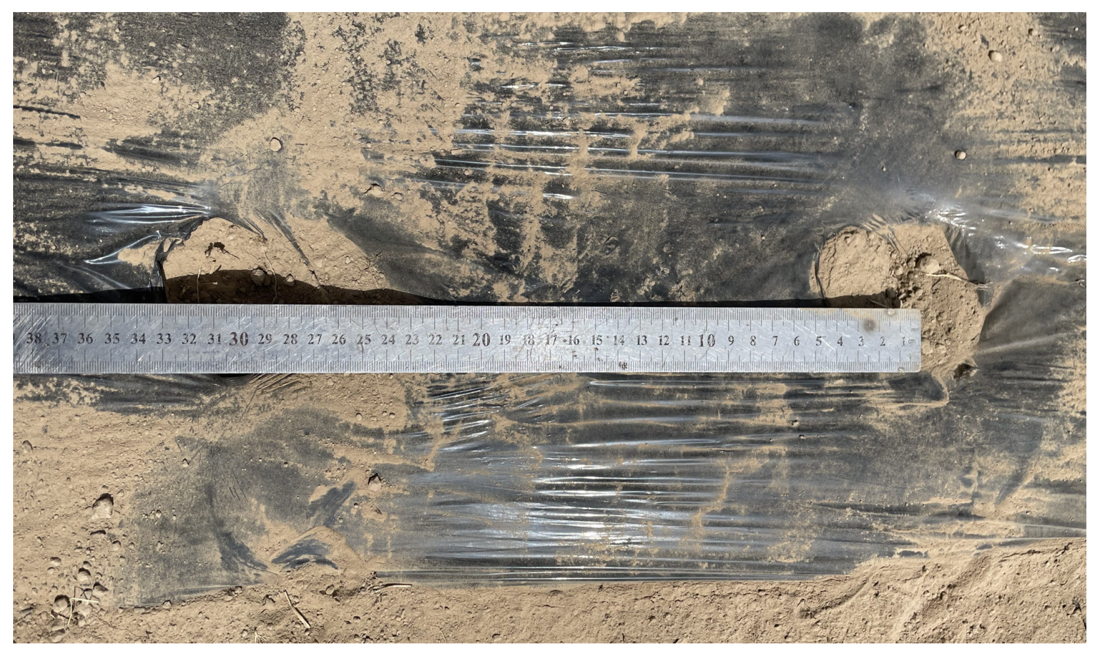 Agronomy 14 03076 g022