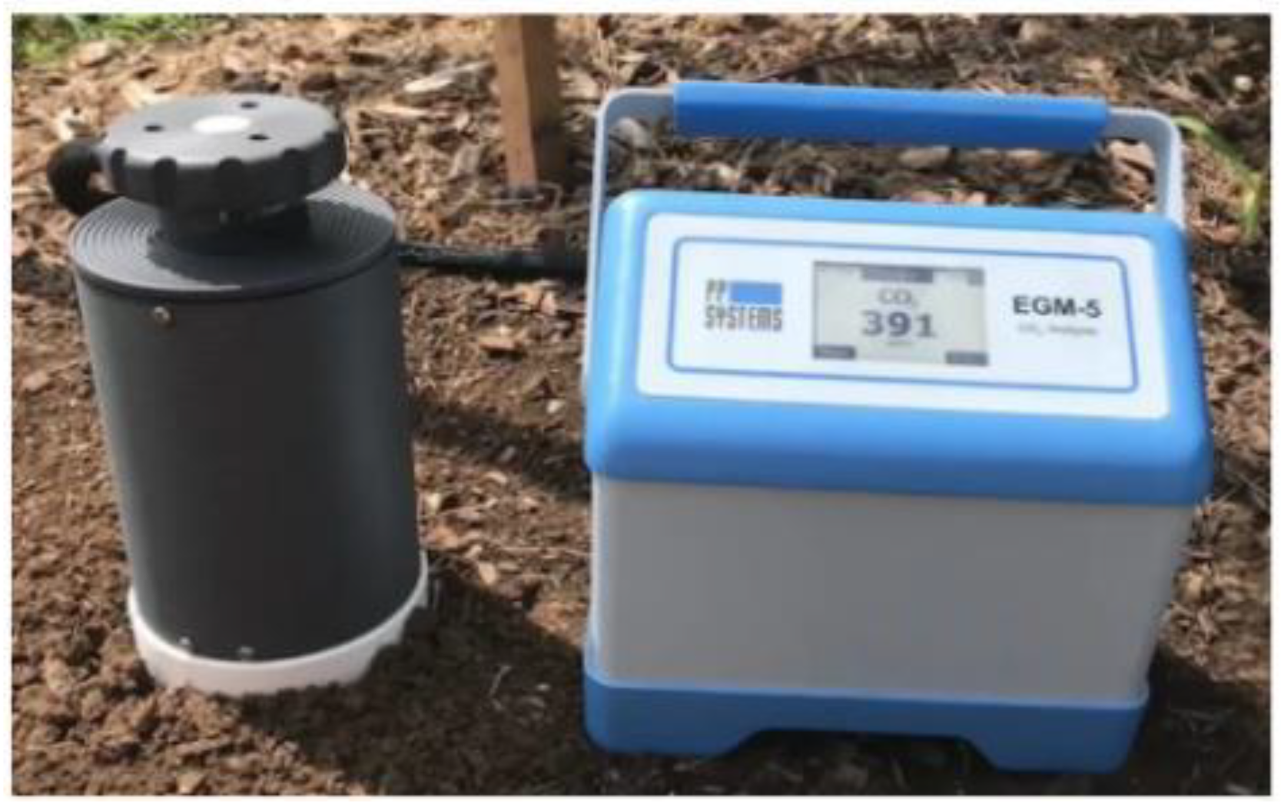 Agronomy 15 00002 g002