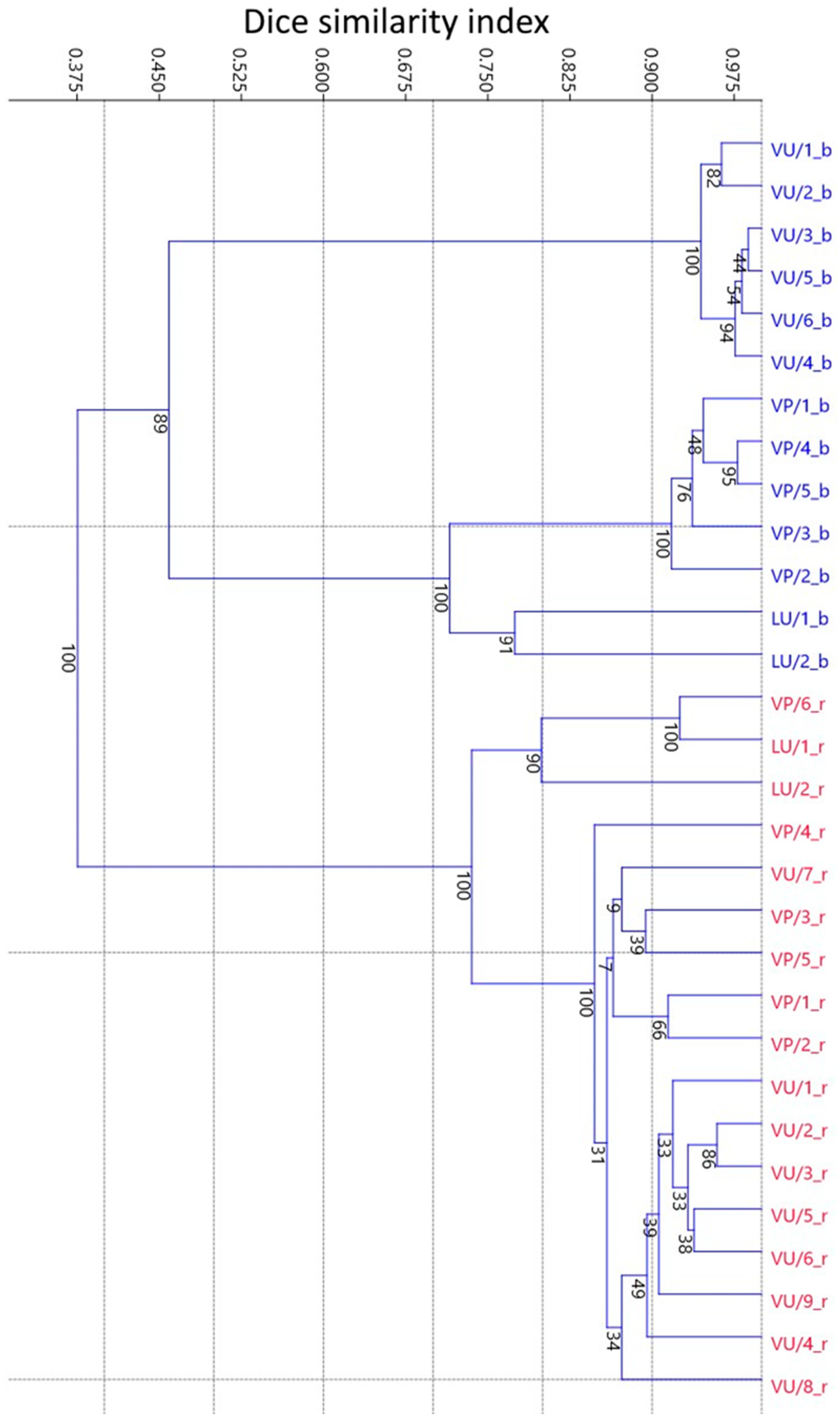Agronomy 15 00003 g004 Agronomy 15 00003 g004