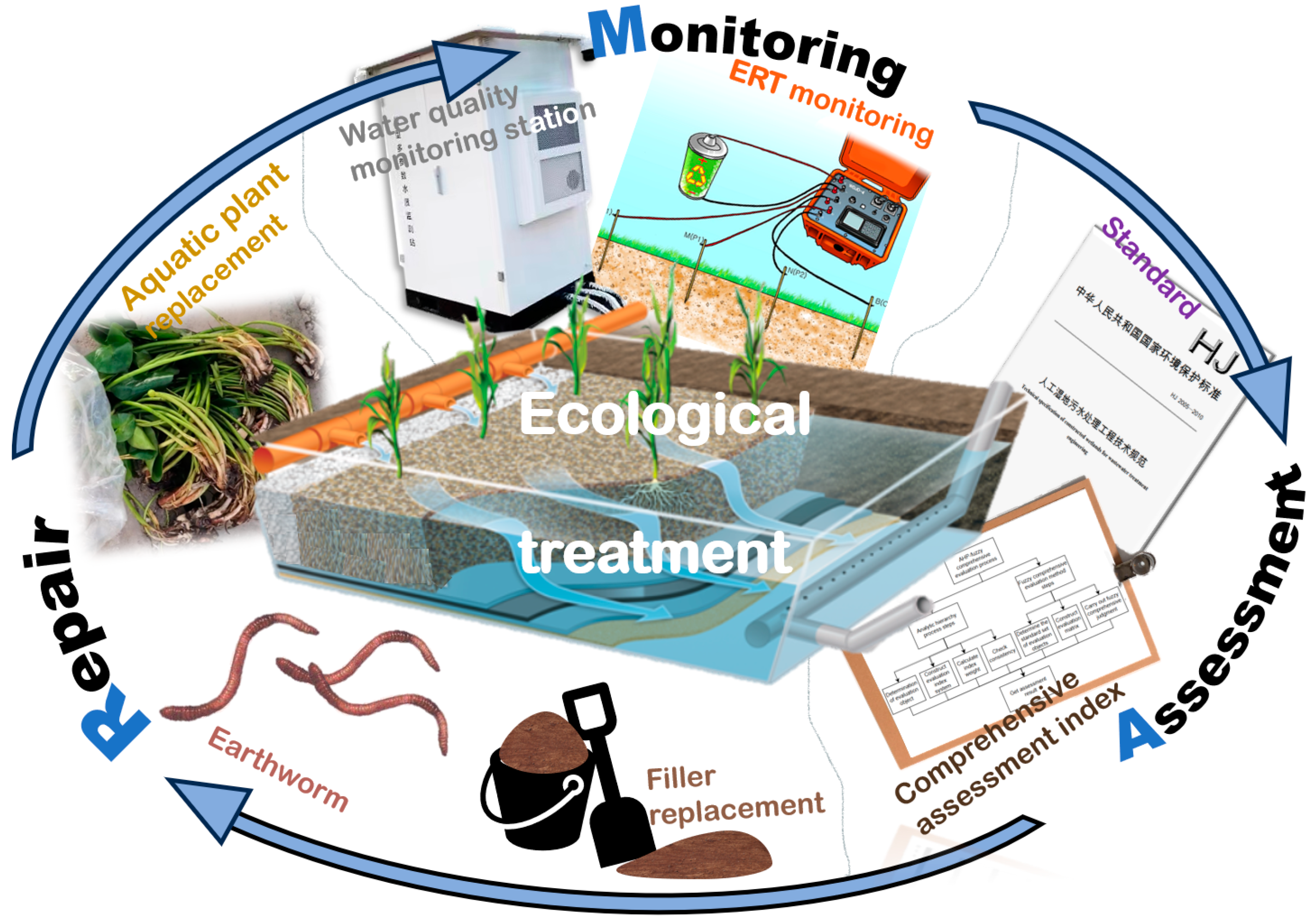 Agronomy 15 00009 g002