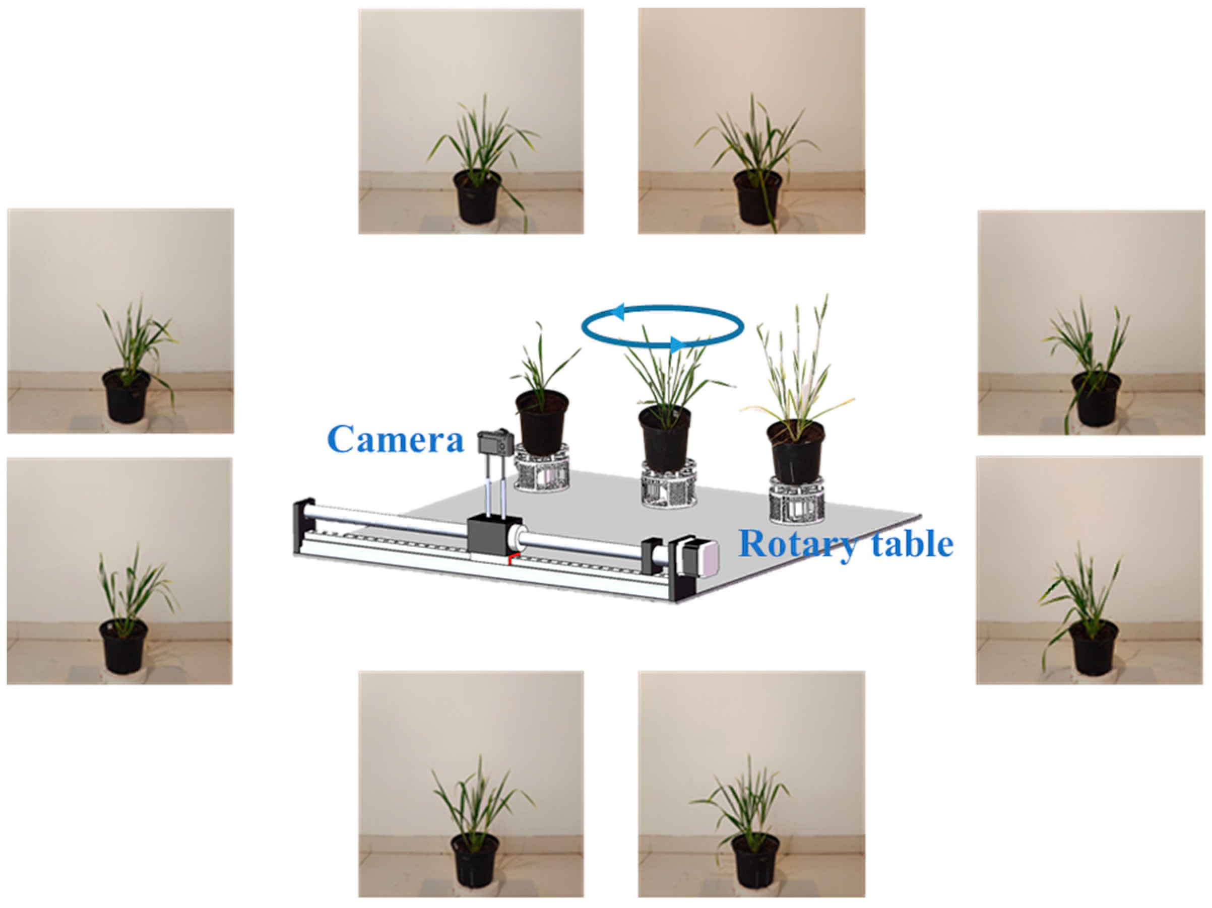 Agronomy 15 00013 g001