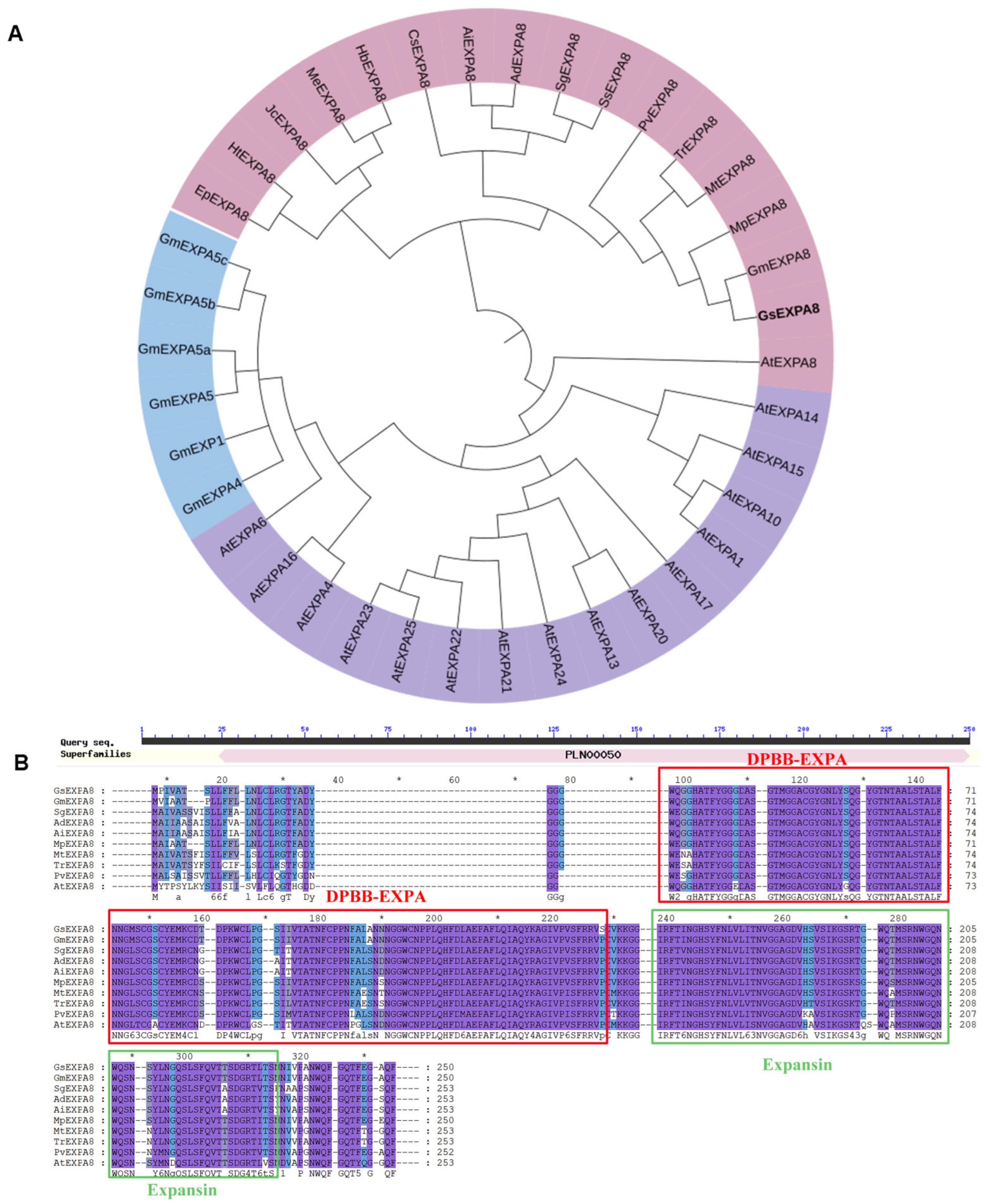 Agronomy 15 00016 g002