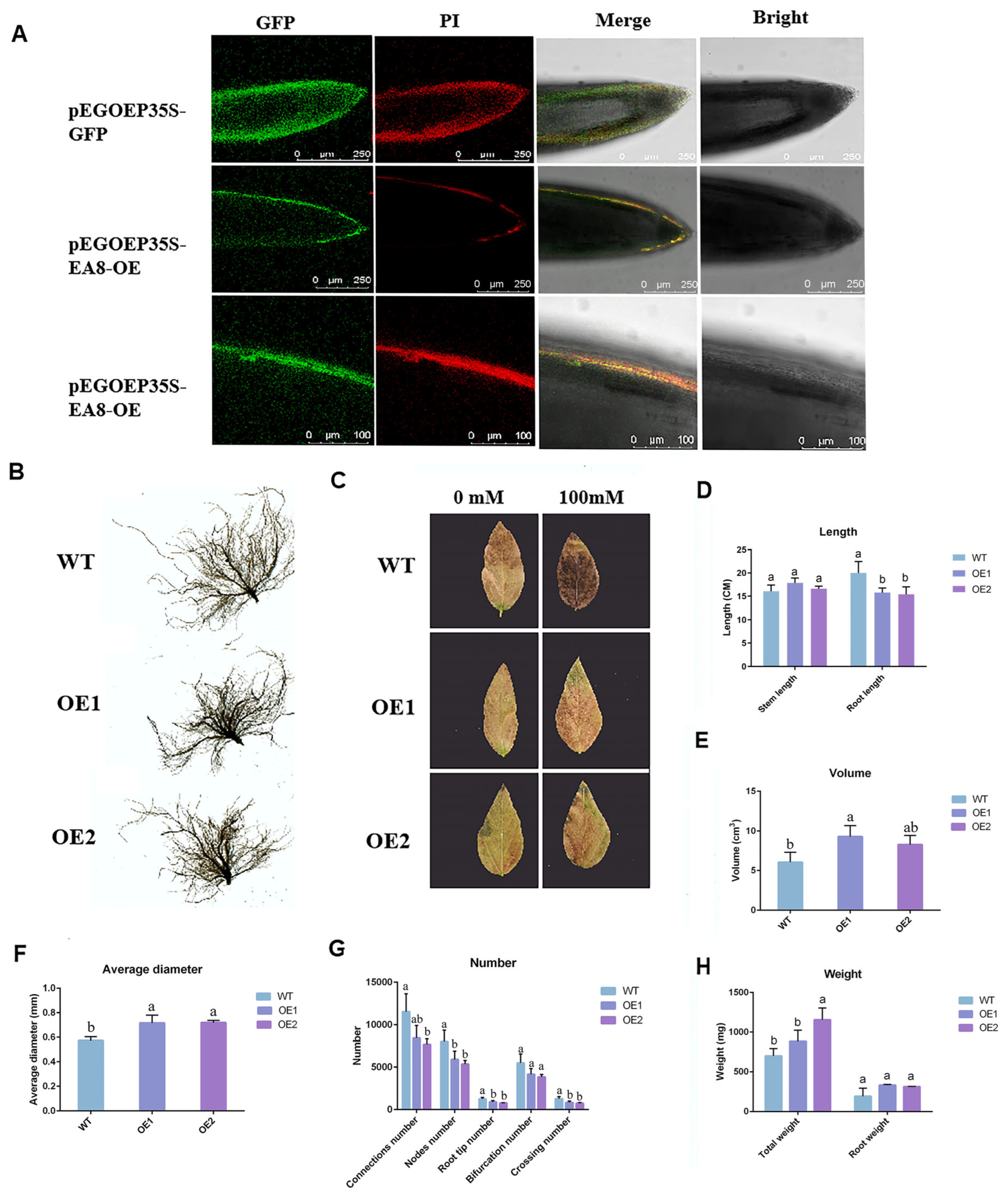 Agronomy 15 00016 g005