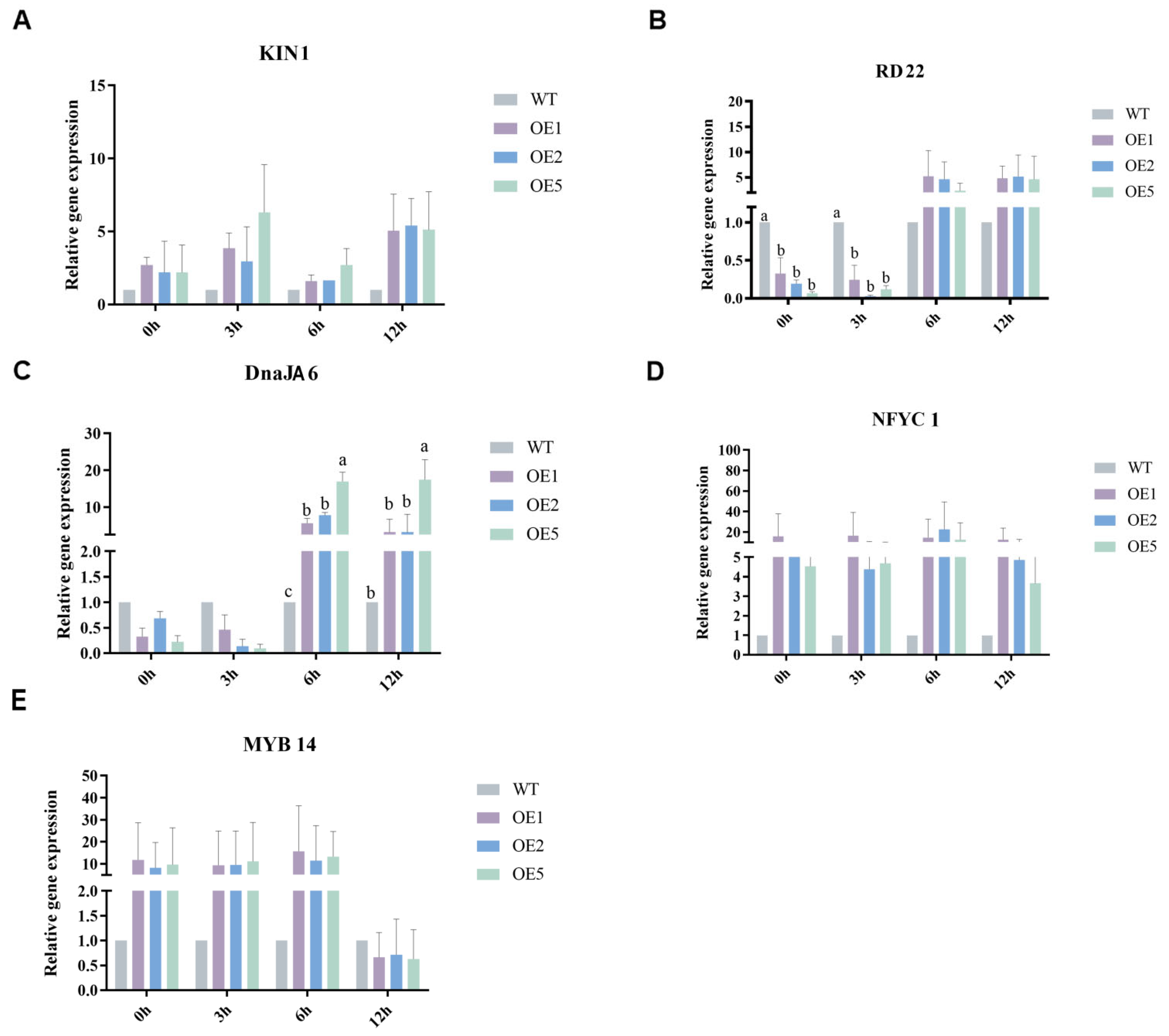 Agronomy 15 00016 g006