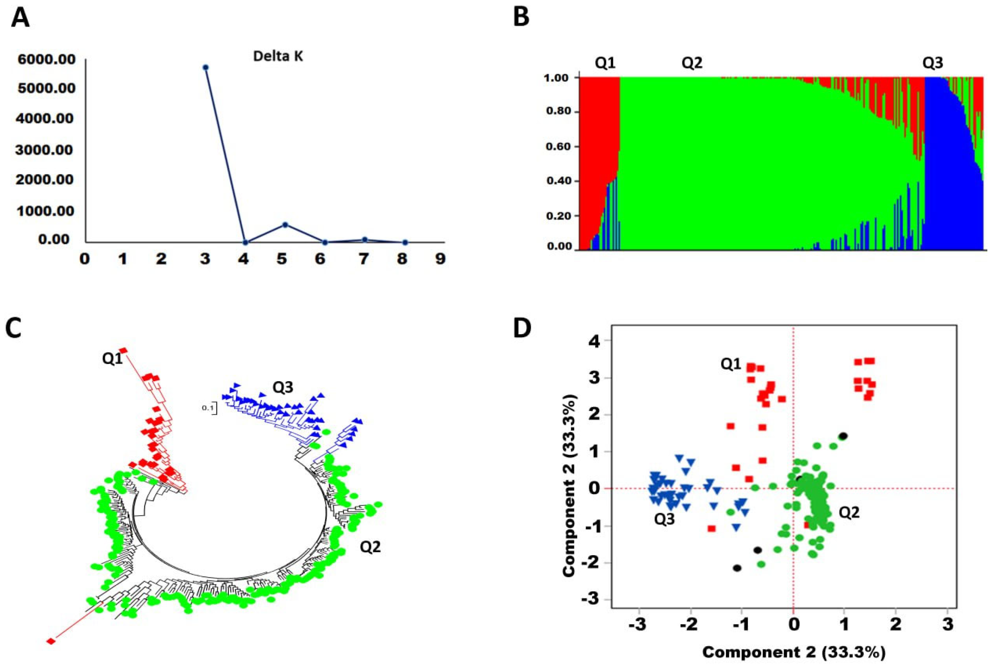 Agronomy 15 00022 g001