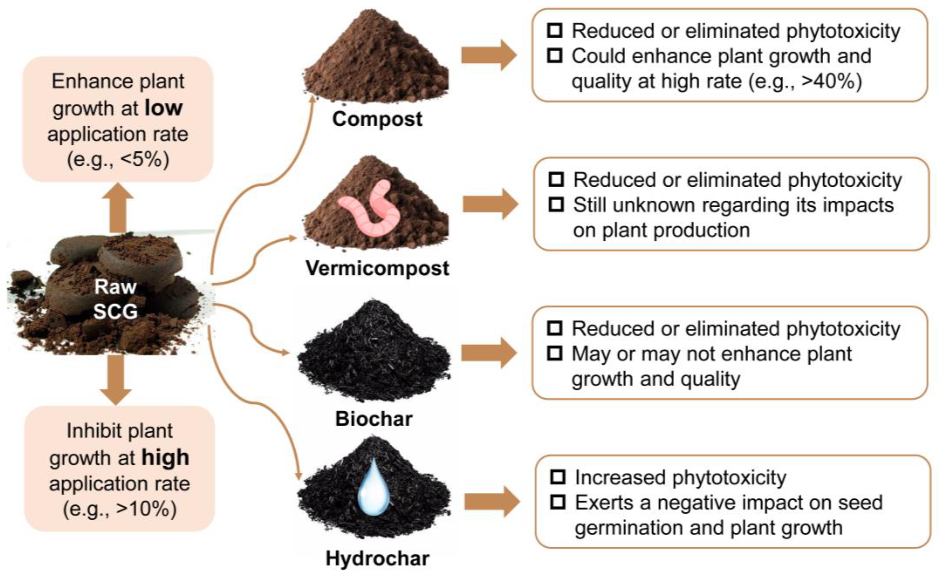 Agronomy 15 00026 g004