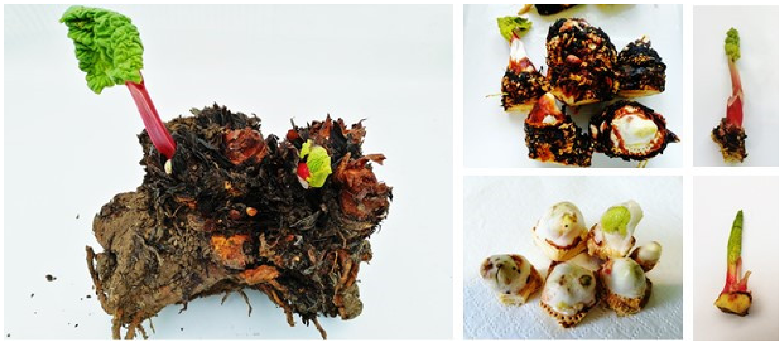 Agronomy 15 00027 g001 Agronomy 15 00027 g001