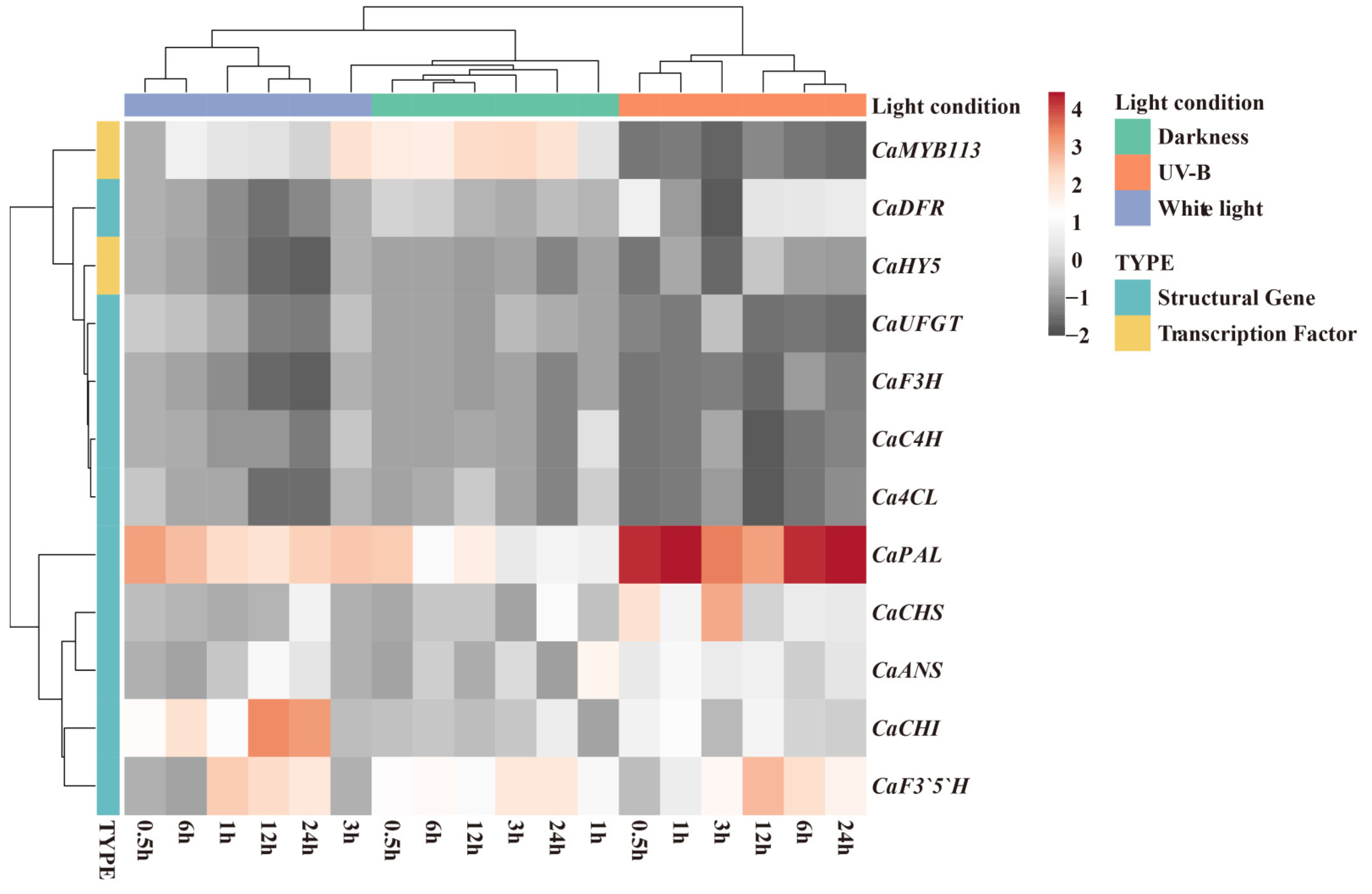 Agronomy 15 00028 g002