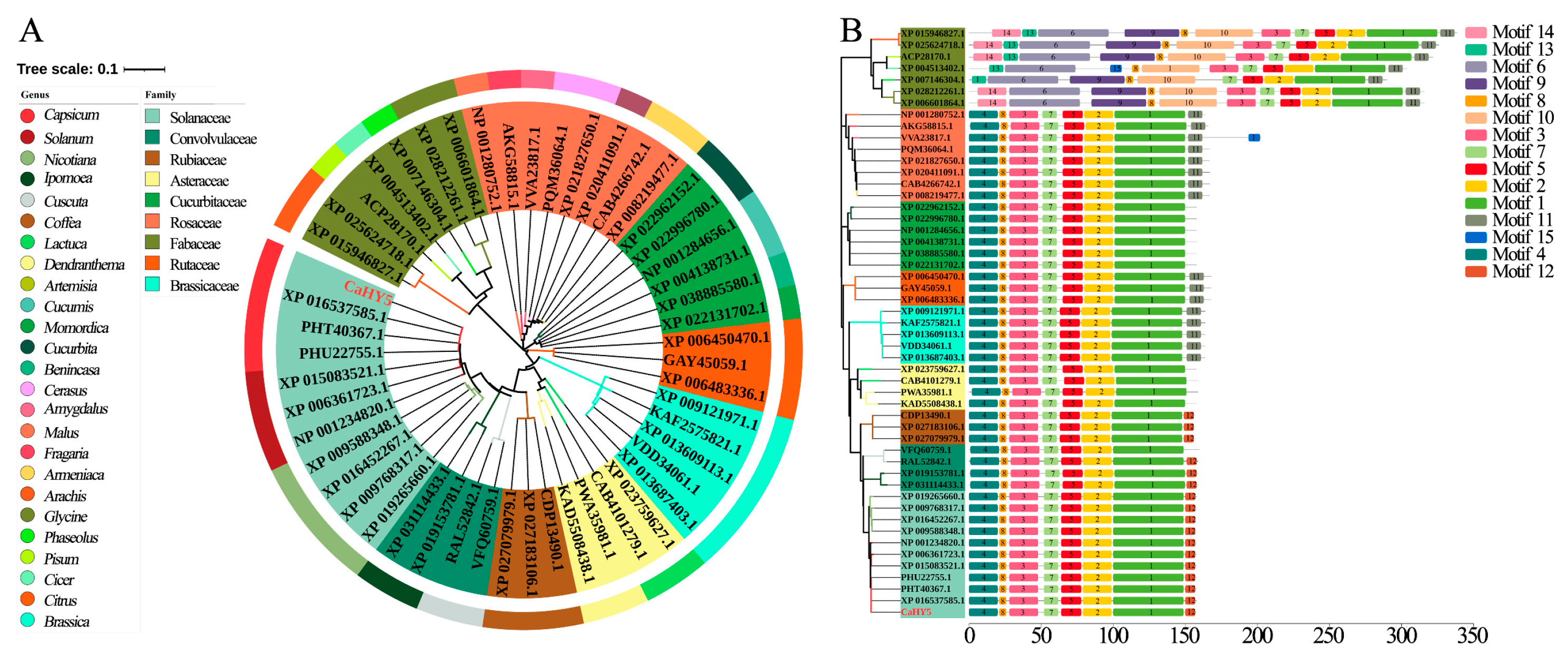 Agronomy 15 00028 g003