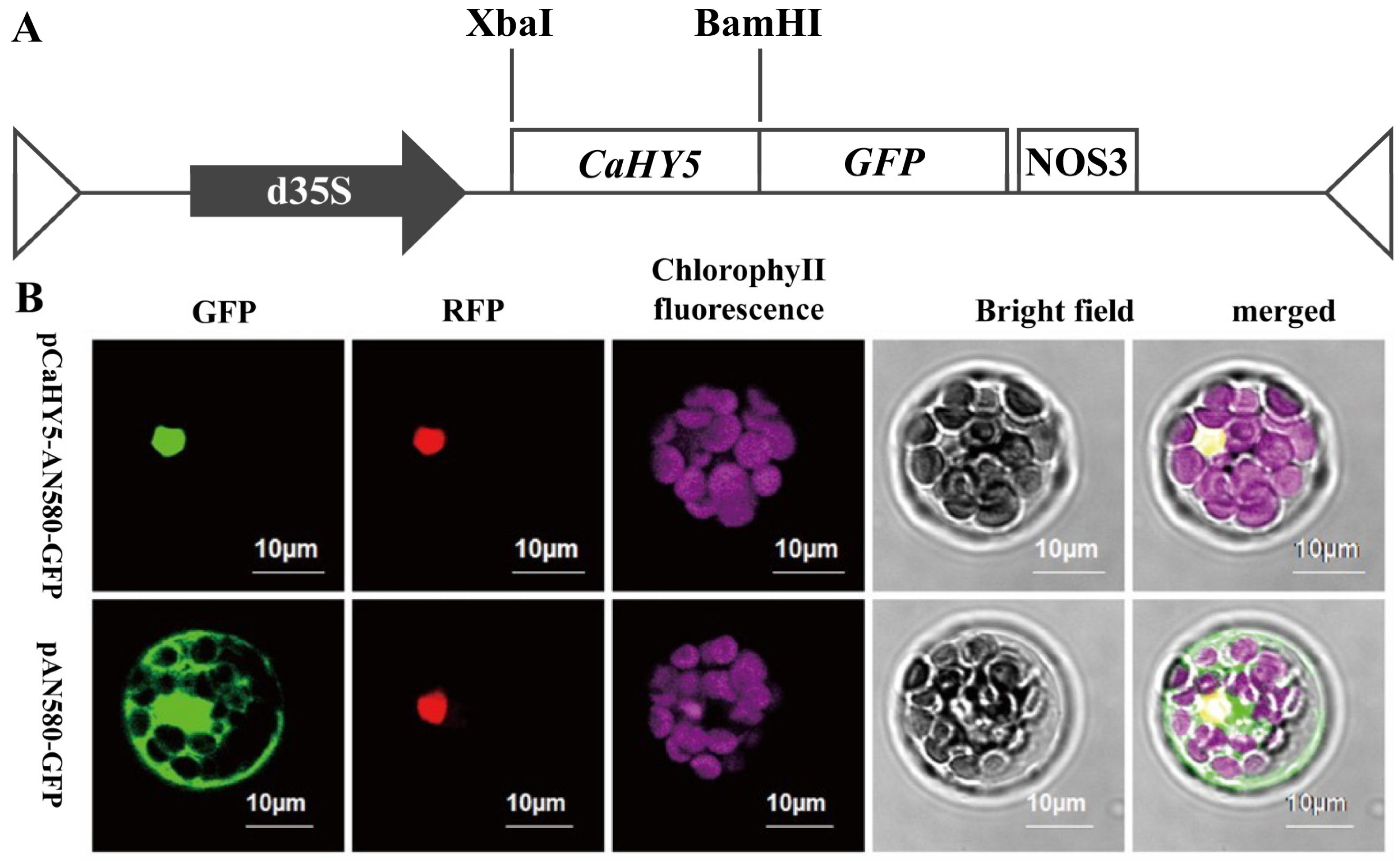 Agronomy 15 00028 g004