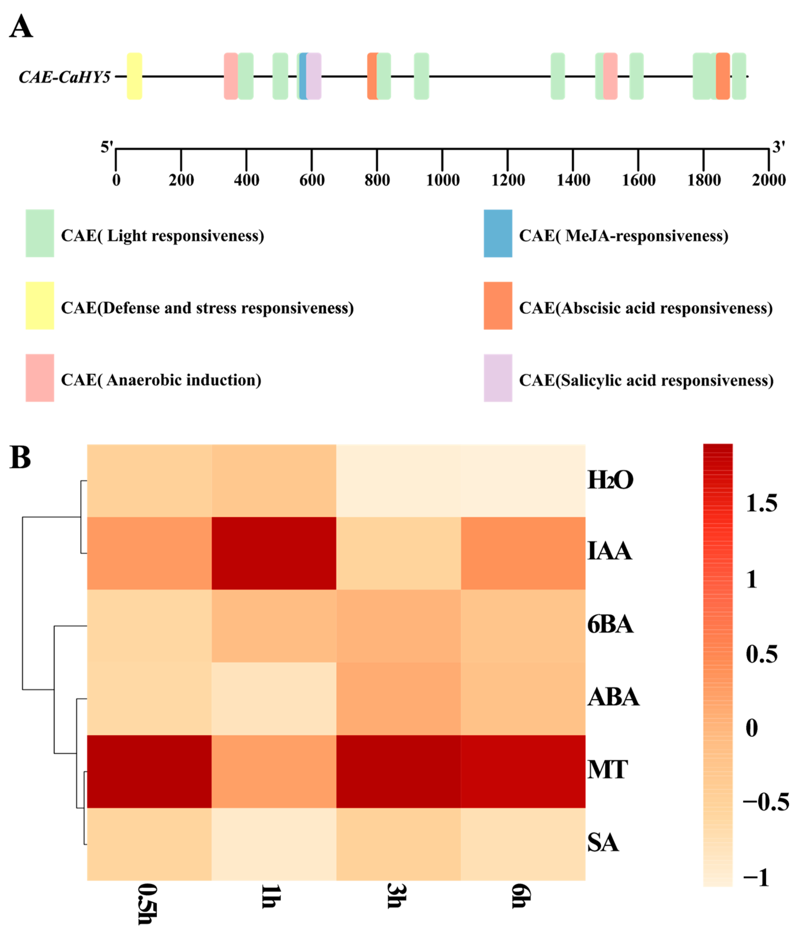Agronomy 15 00028 g005