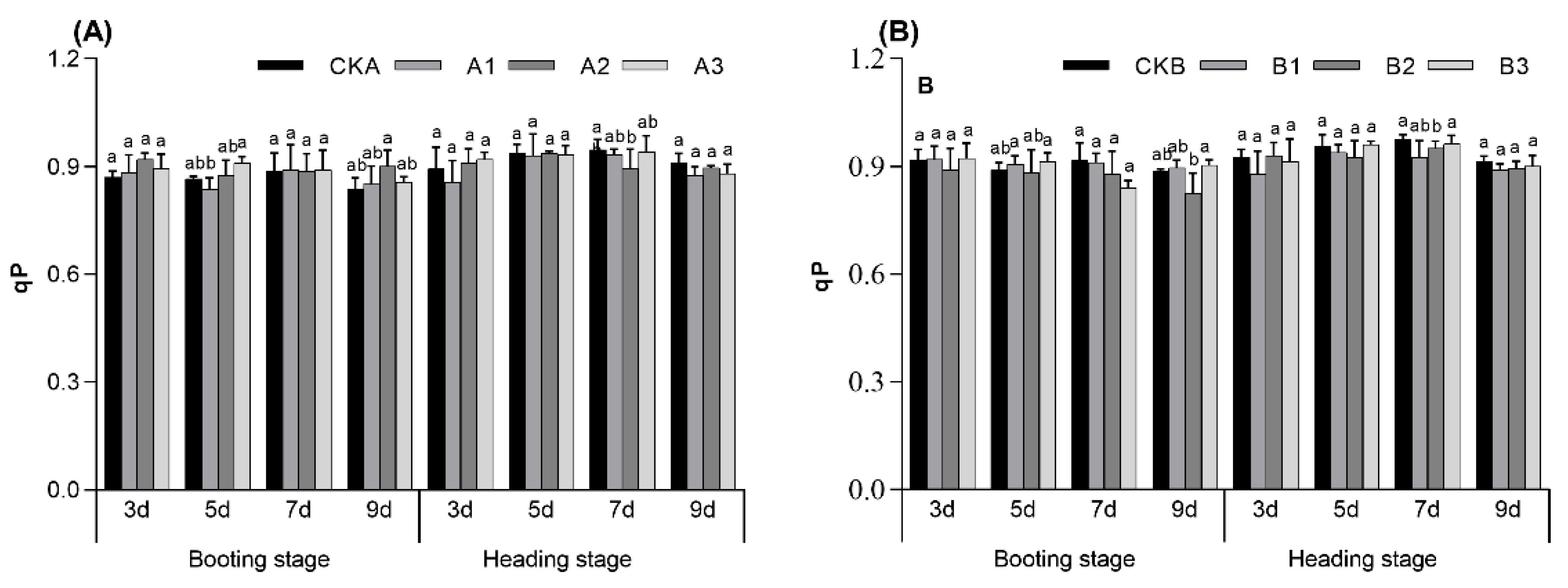 Agronomy 15 00032 g004