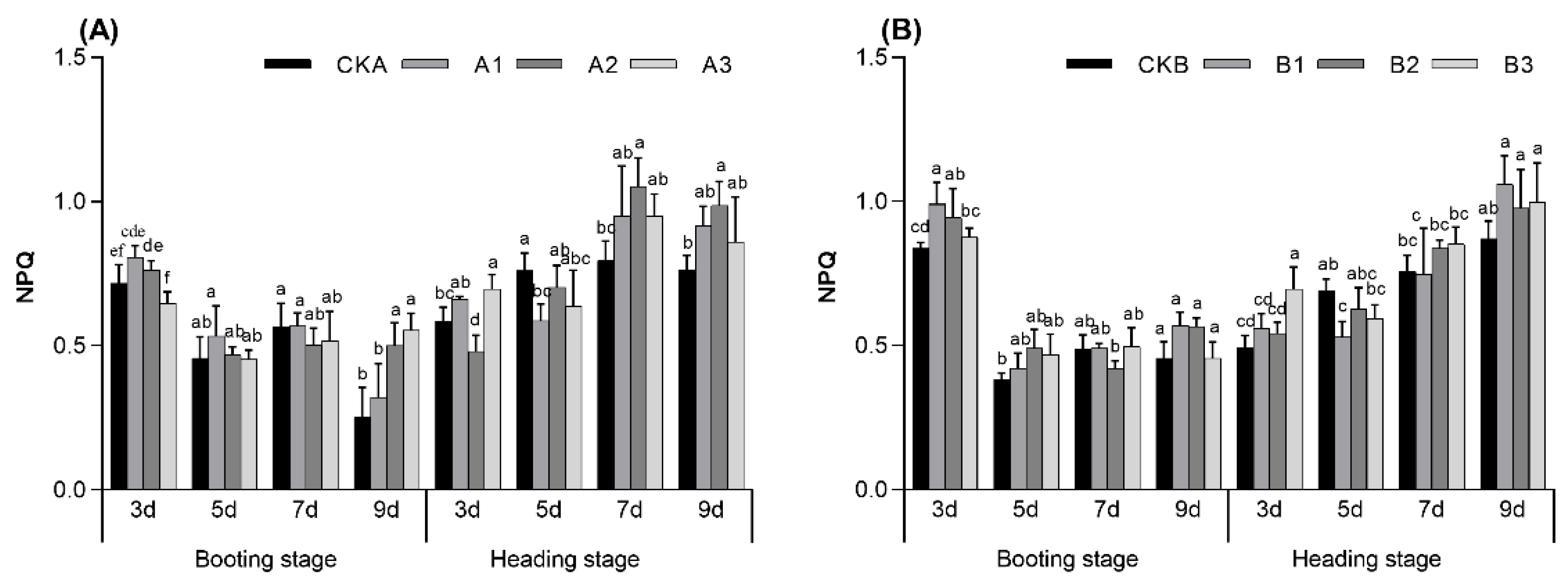 Agronomy 15 00032 g005